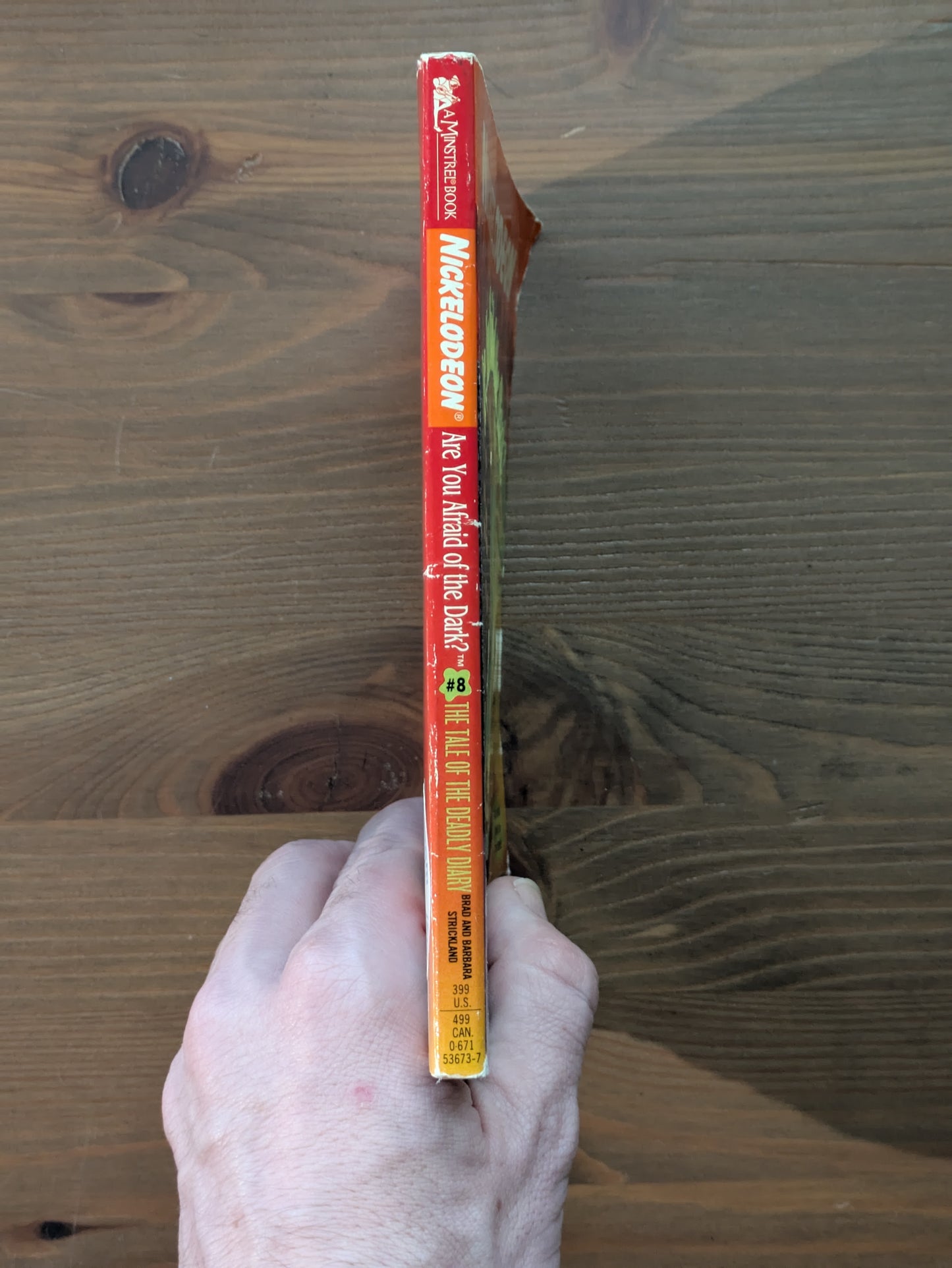 Tale of the Deadly Diary, The (Are You Afraid of the Dark #8) by Brad and Barbara Strickland