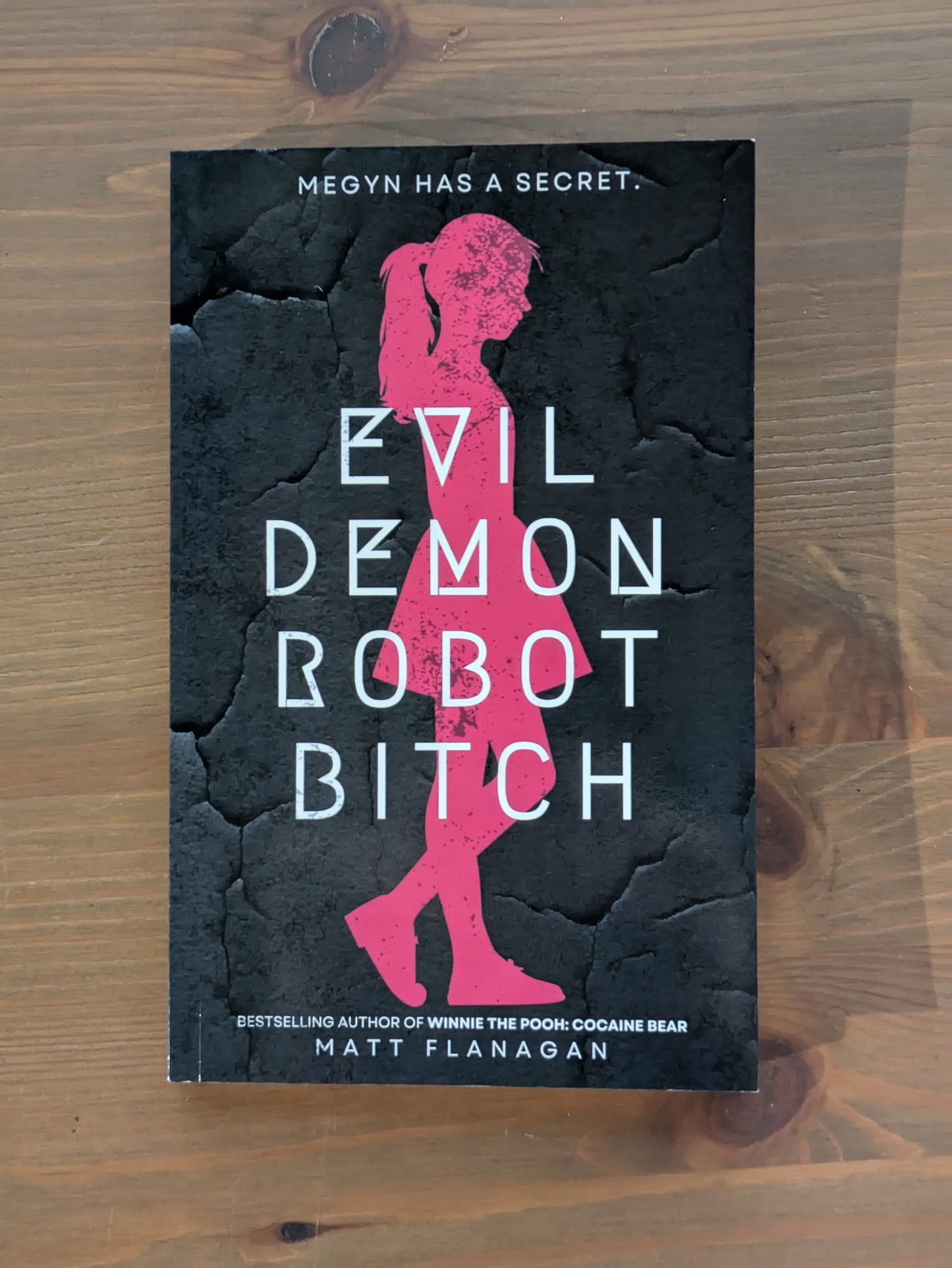 Evil Demon Robot Bitch (The Asylum) - by Matt Flanagan