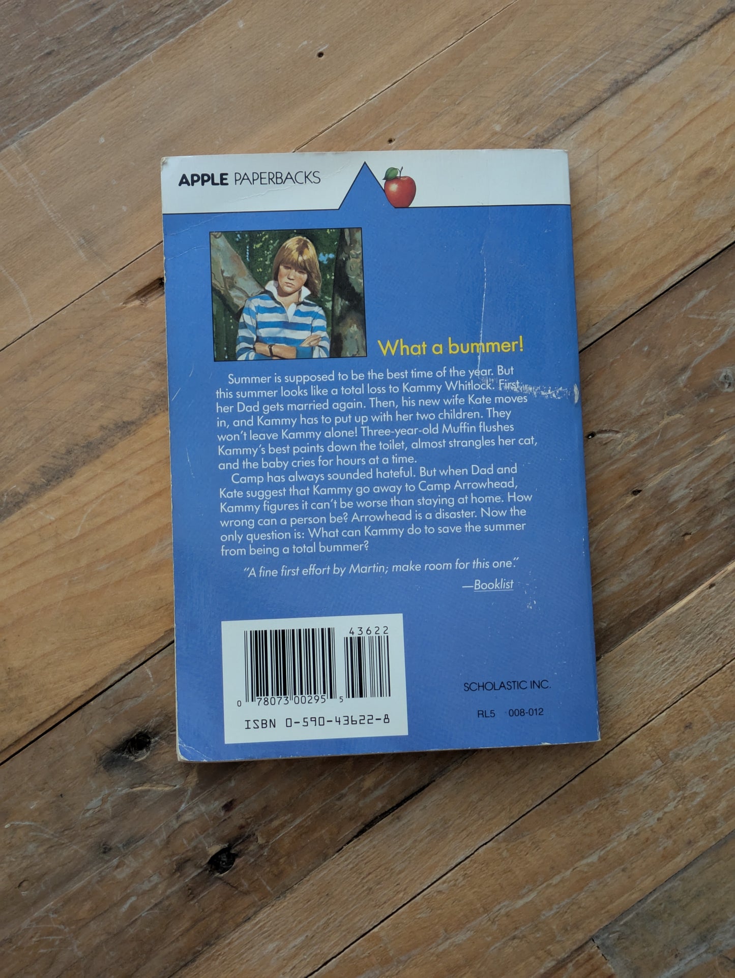 Bummer Summer (Vintage Paperback) by Ann M. Martin