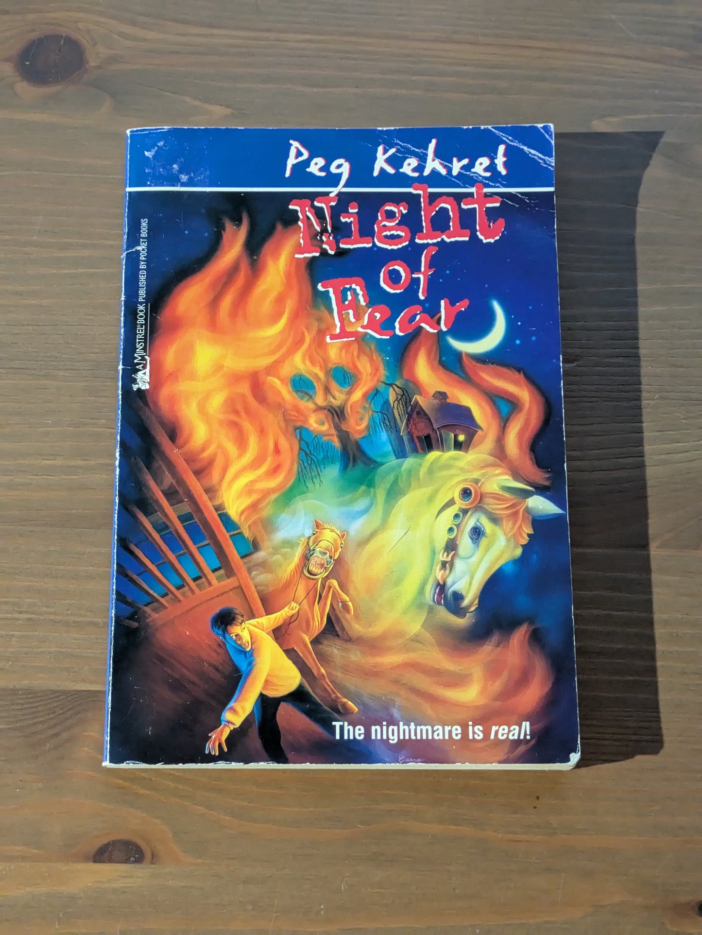 Night of Fear (Vintage Paperback) by Peg Kehret