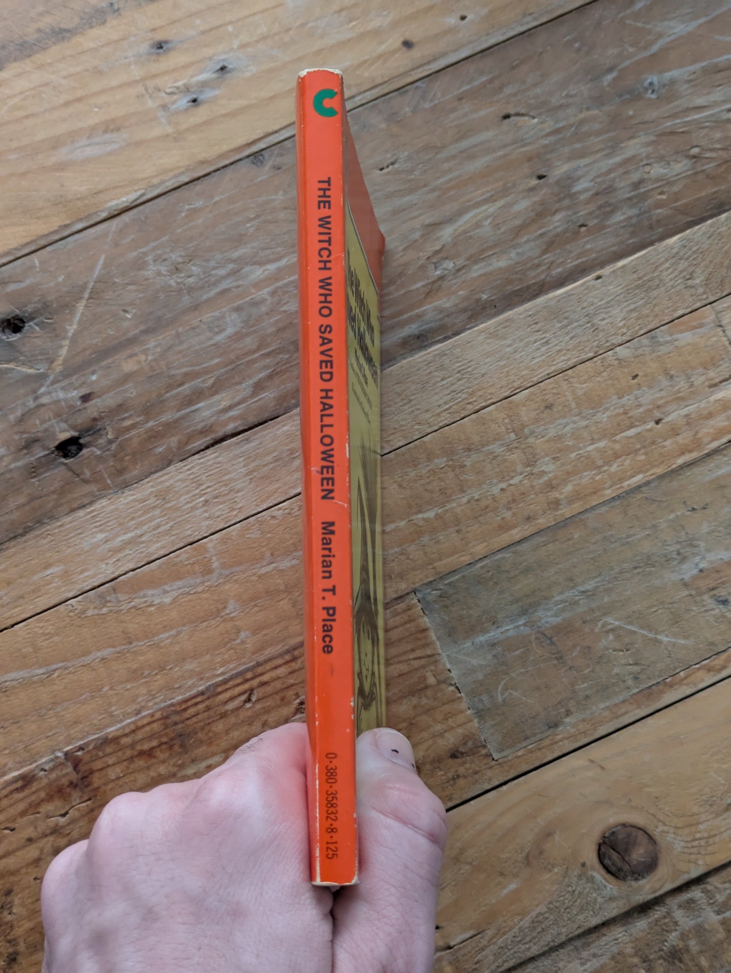 Witch Who Saved Halloween, The (Vintage Paperback) by Marian T. Place