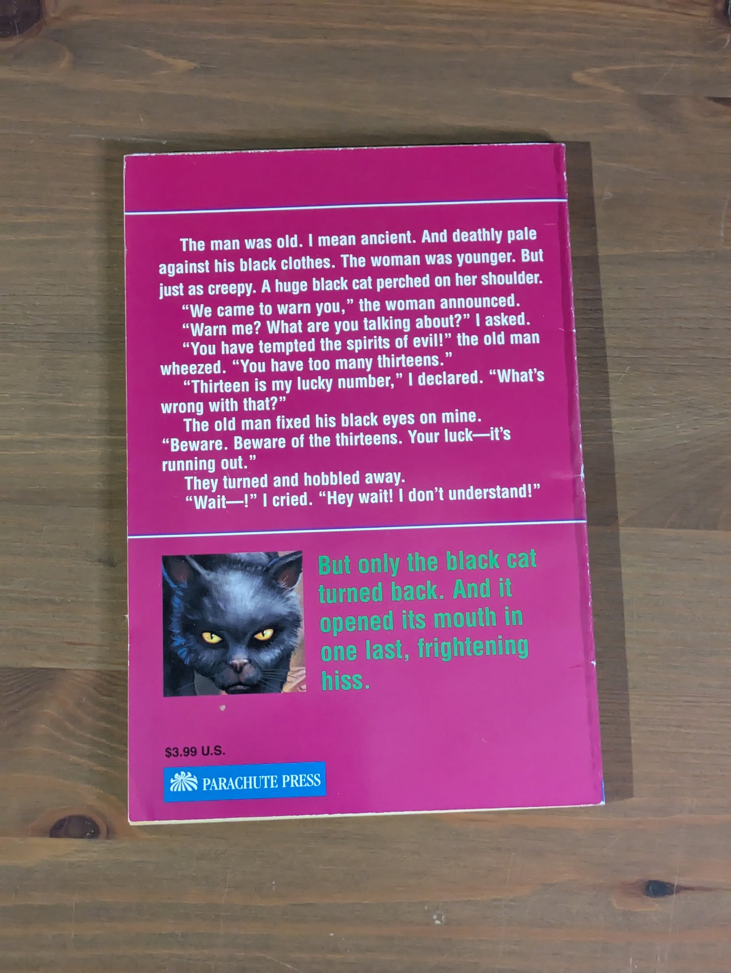 13th Warning, The (Vintage Paperback) by R.L. Stine