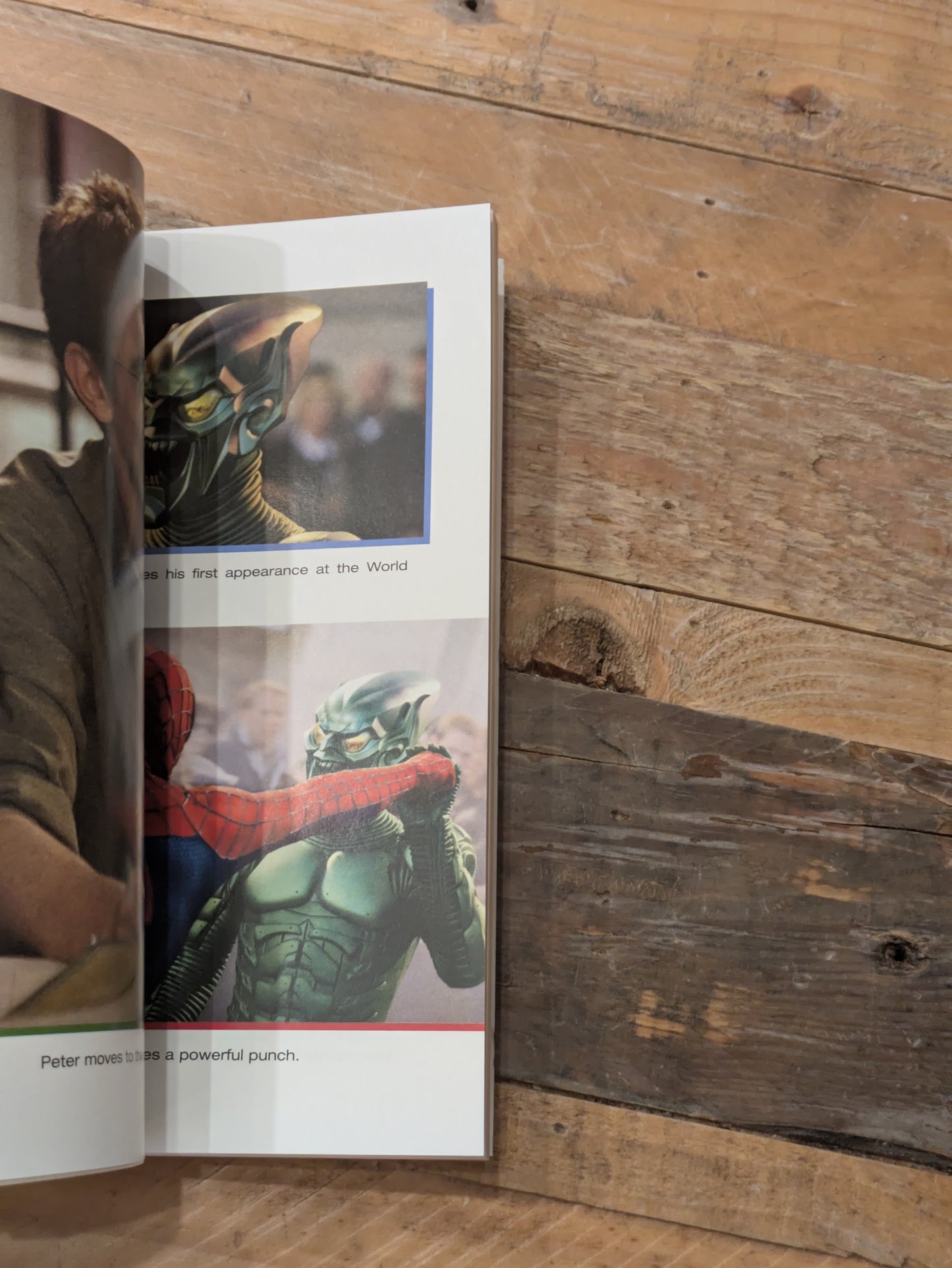 Adventures of Spider-Man, The (Tie-In Paperback)