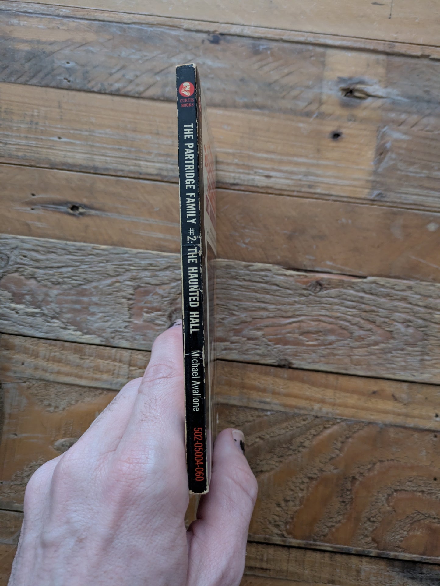 Haunted Hall, The (The Partridge Family #2) by Michael Avallone - Vintage Paperback