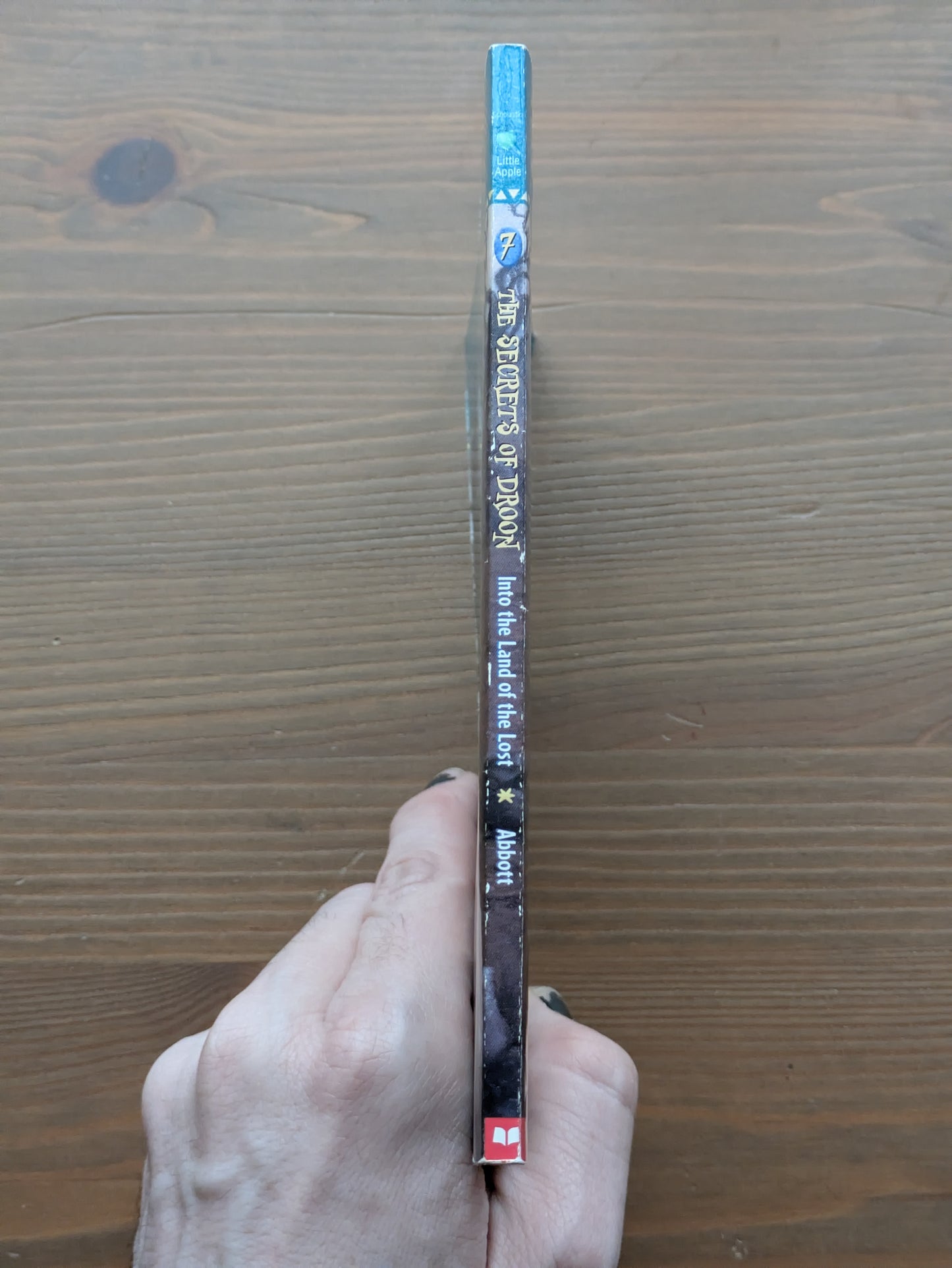 Into the Land of the Lost (The Secrets of Droon #7) by Tony Abbott, Tim Jessell