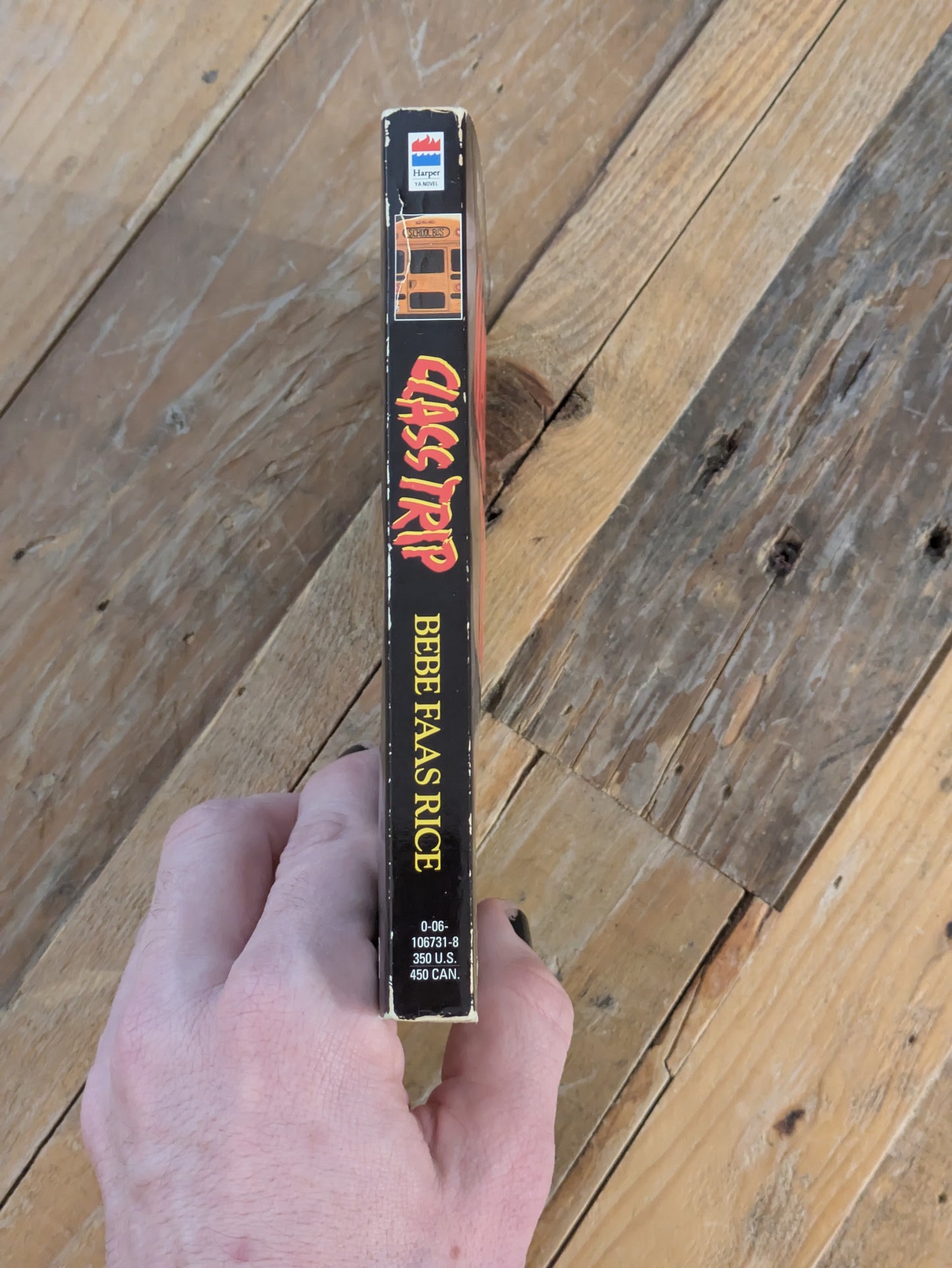 Class Trip (Vintage Paperback) by Bebe Faas Rice