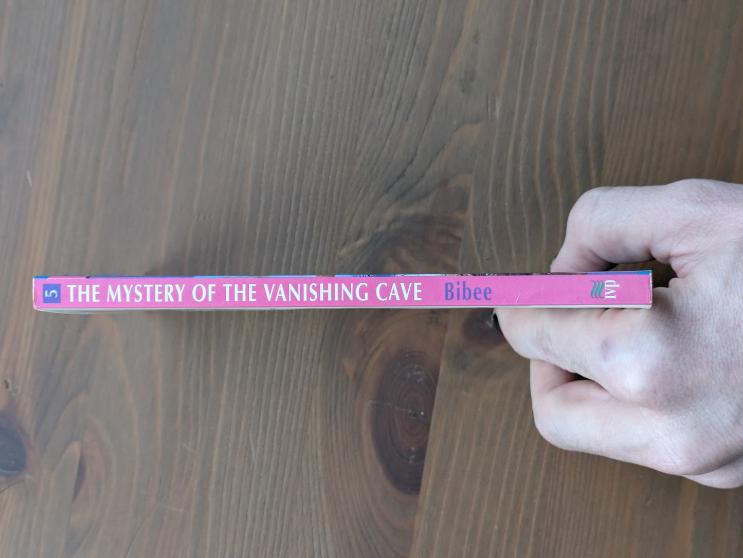 Mystery of the Vanishing Cave, The (Homeschool Detectives #5) by John Bibee - Paperback
