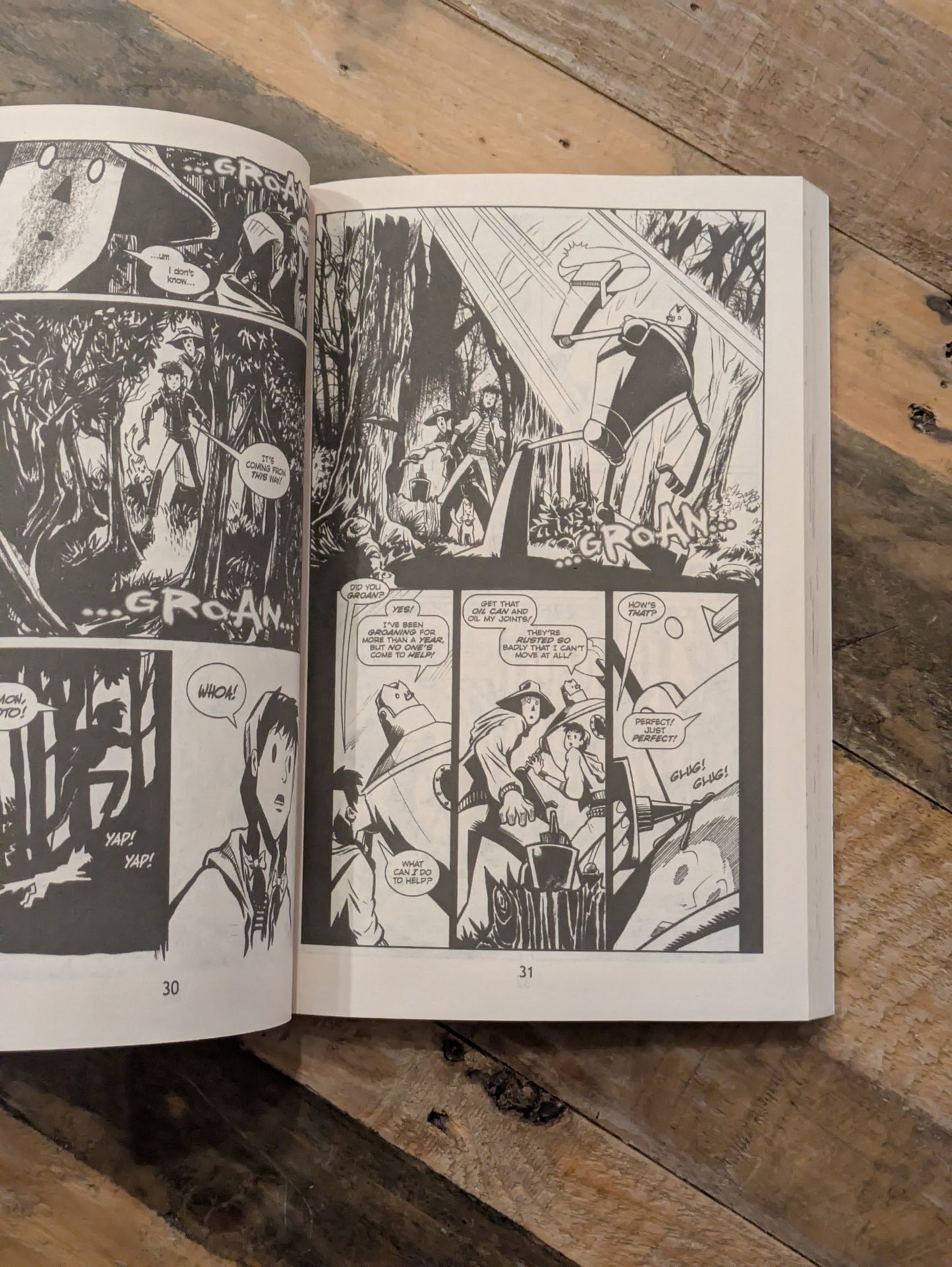 Wizard of Oz: The Graphic Novel (Paperback) by Michael Cavallaro (Adaptor), L. Frank Baum