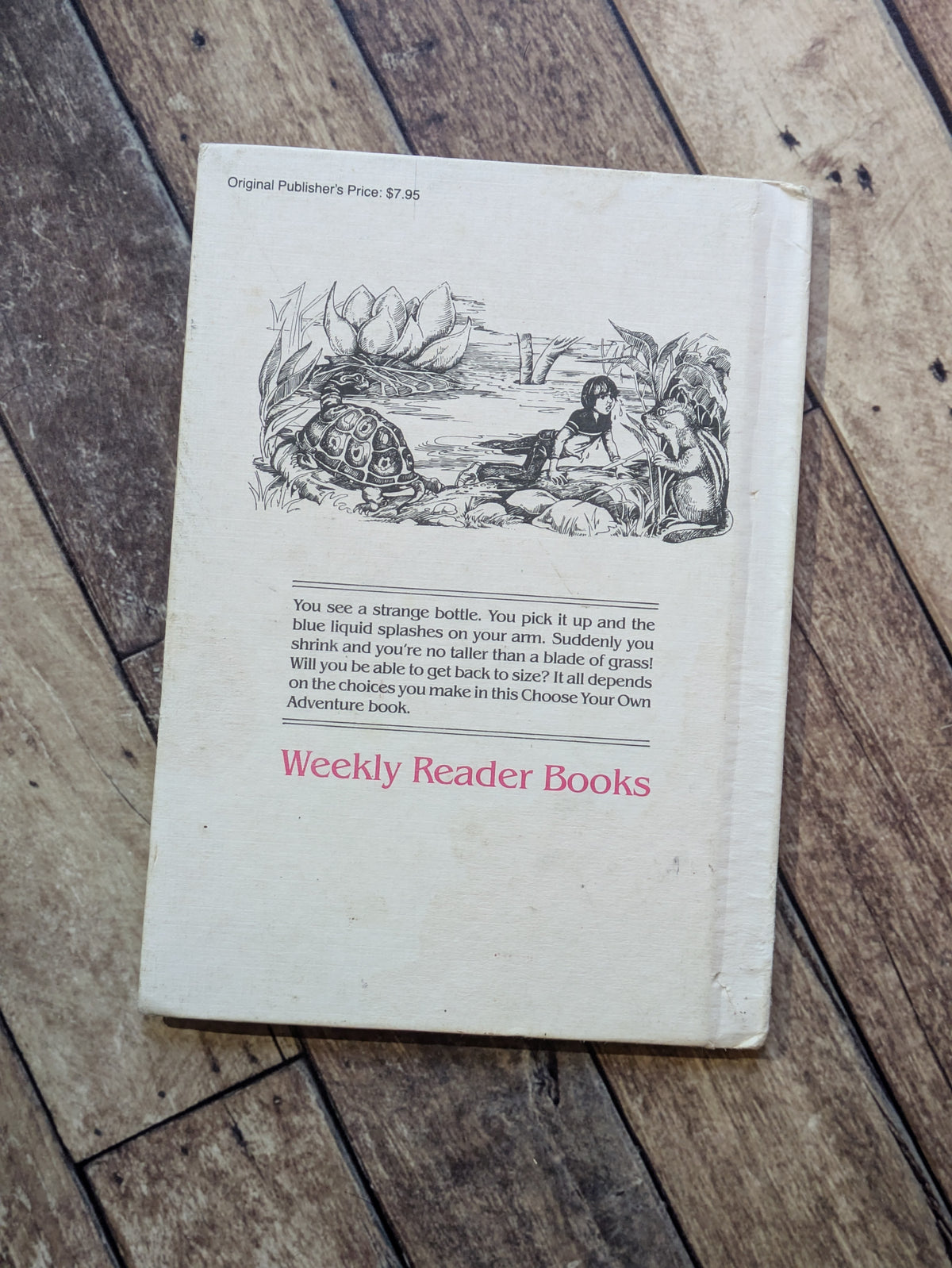 Help! You're Shrinking (Choose Your Own Adventure: Young Readers #7) by Edward Packard, Lorna Tomei (Illustrator)