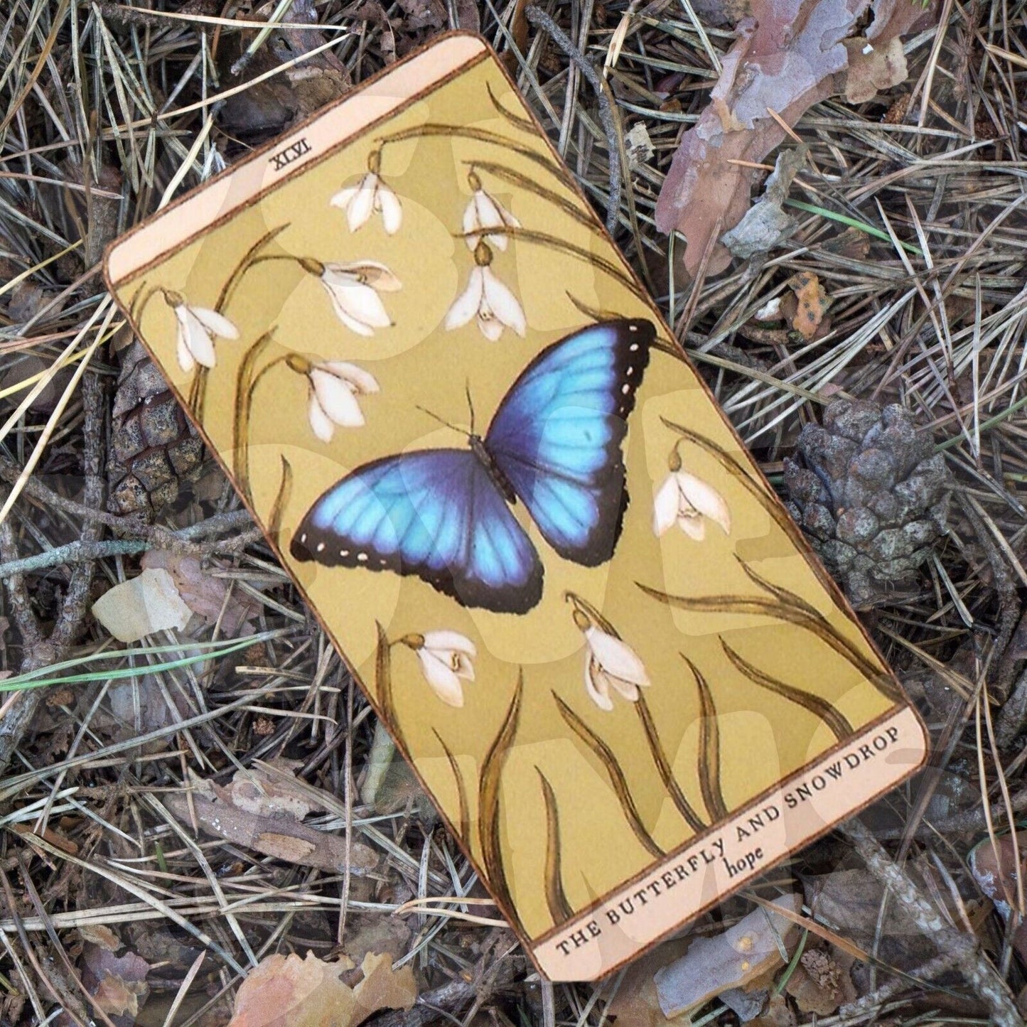 Woodland Wardens Tarot Cards - Vintage Style Artwork Oracle Deck