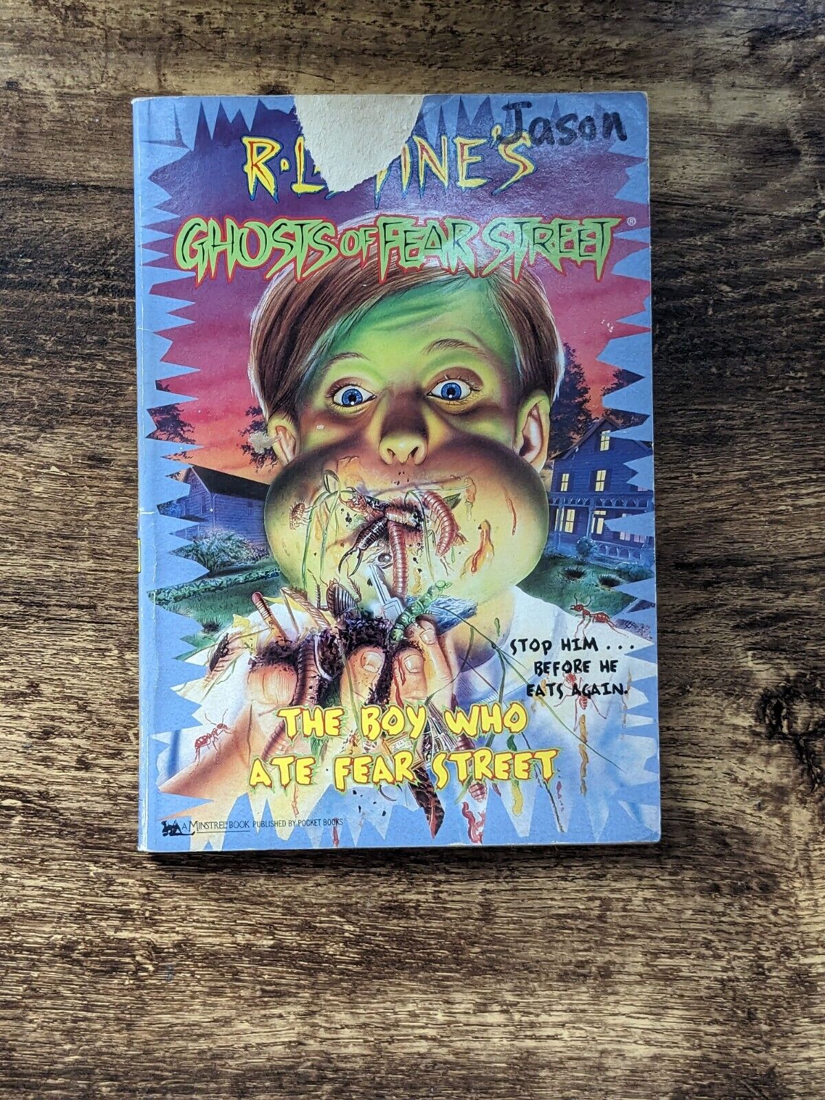 Boy Who Ate Fear Street, The (R L Stine's Ghosts of Fear Street) - Asylum Books