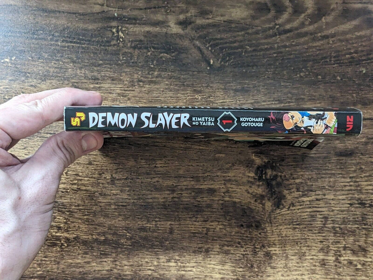 Demon Slayer: Kimetsu no Yaiba #1 - Asylum Books