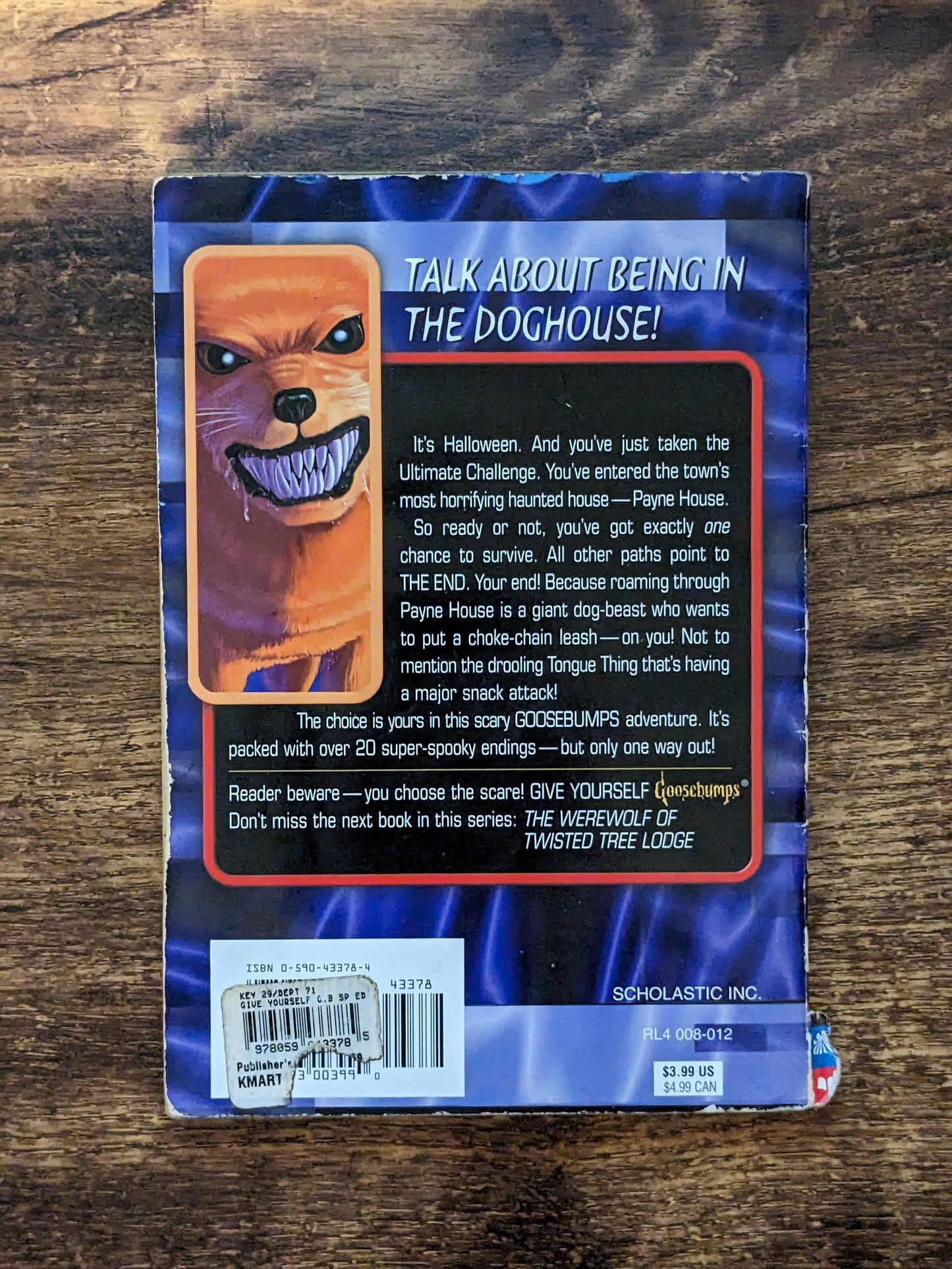 One Night in Payne House (Give Yourself Goosebumps Special Edition #4) R. L. Stine - Asylum Books