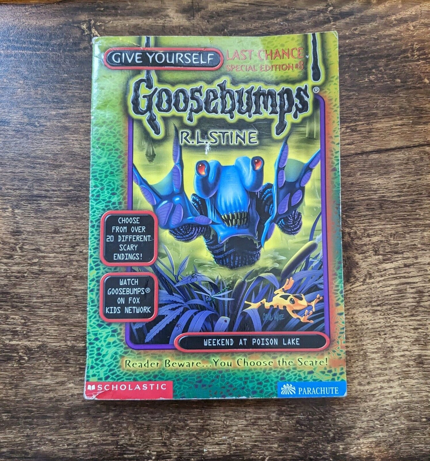 Weekend at Poison Lake (Give Yourself Goosebumps #8) by R. L. Stine Very Rare - Asylum Books