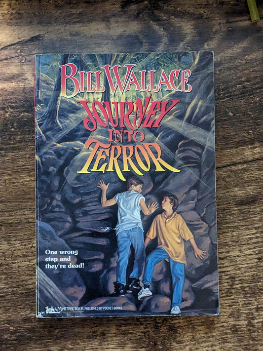 Journey Into Terror (Vintage Paperback) by Bill Wallace