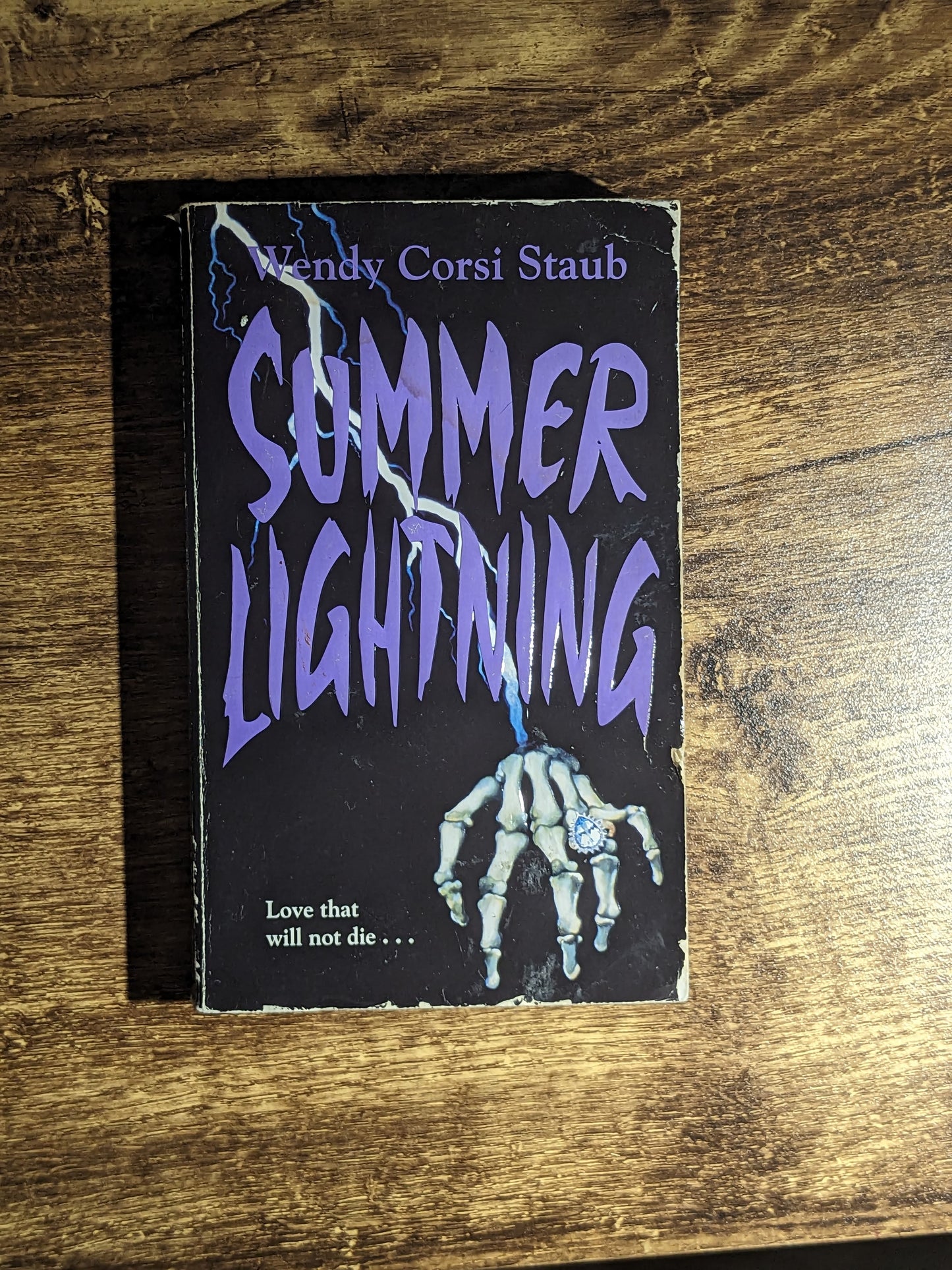 Summer Lightning (Vintage Paperback) by Wendy Corsi Staub