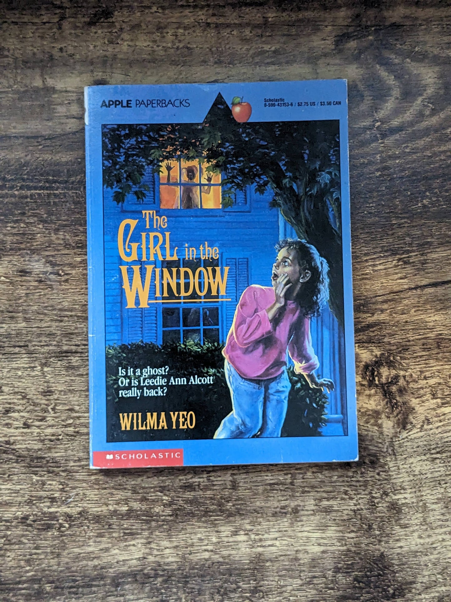 Girl in the Window, The (Vintage Paperback) by Wilma Yeo