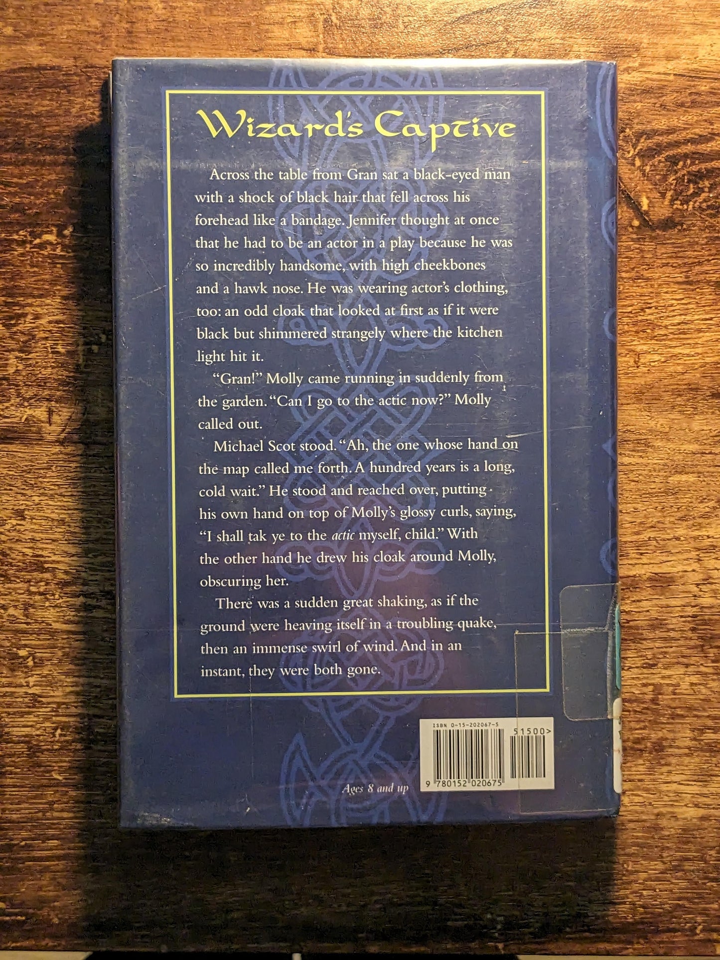 Wizard's Map (Tartan Magic Book #1) by Jane Yolen