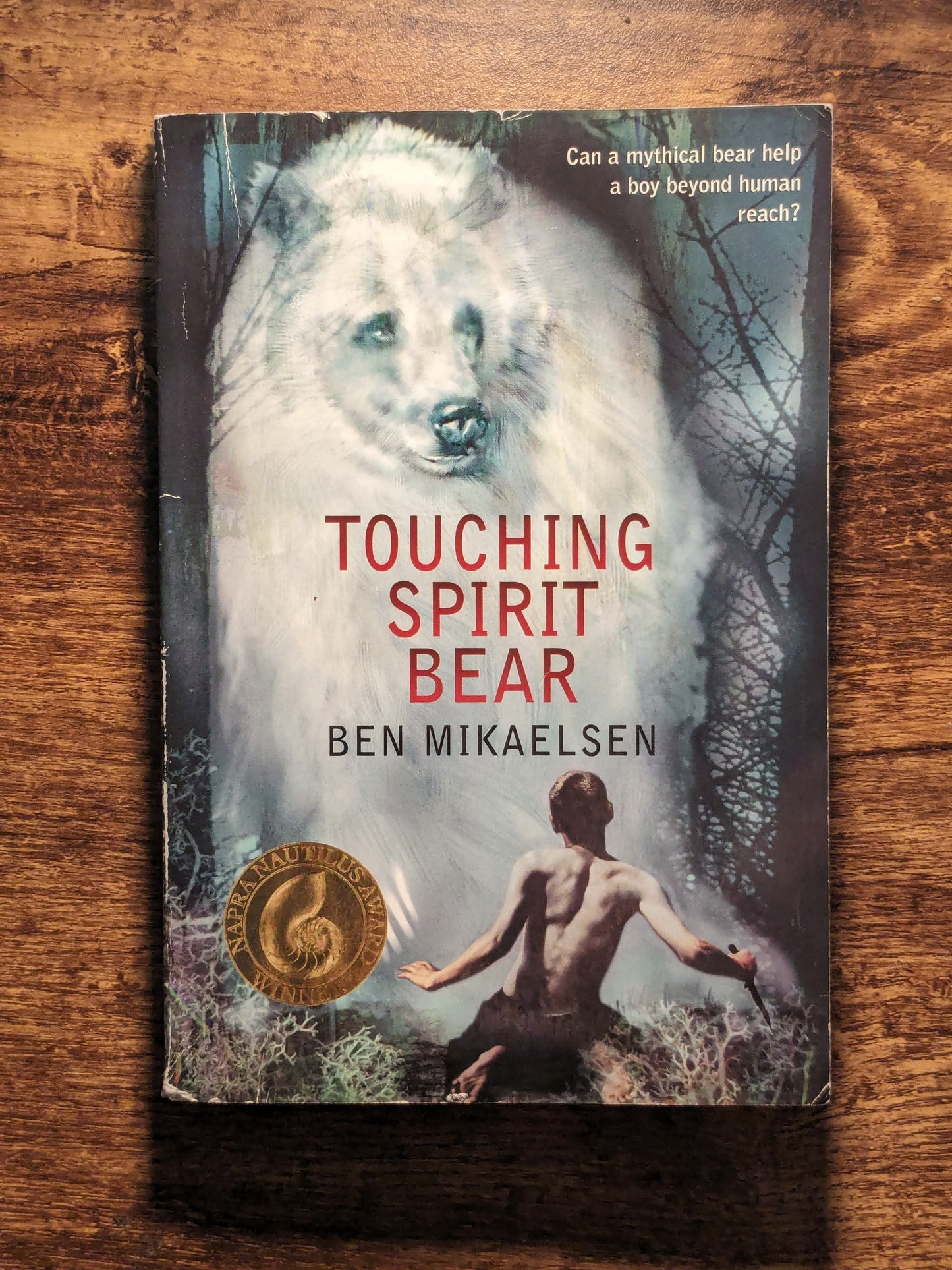 Touching Spirit Bear (Paperback) by Ben Mikaelsen