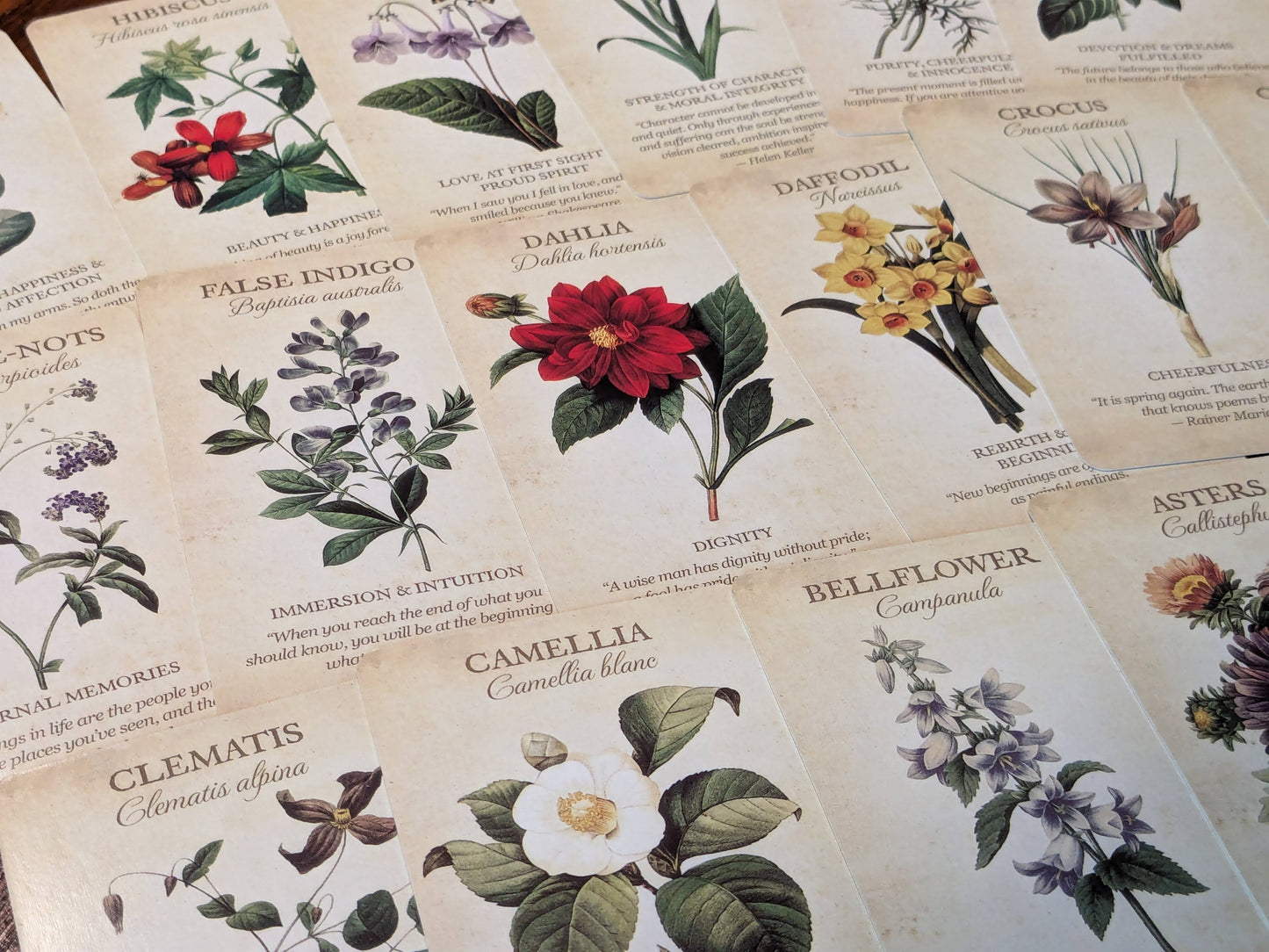 BOTANICAL INSPIRATIONS TAROT Deck - Beautiful Floral Vintage Style Artwork Oracle Cards, Flower Images, Fortune Telling, Victorian Style