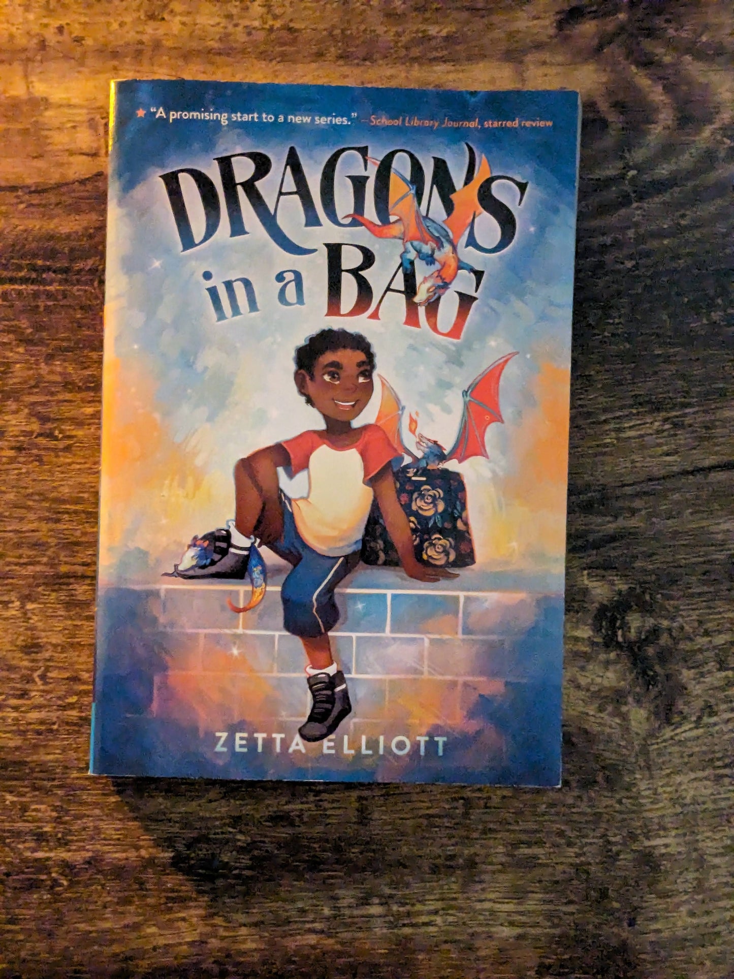 Dragons in a Bag (Trilogy Book Set 1-3) by Zetta Elliot - Dragon Thief, Witch's Apprentice