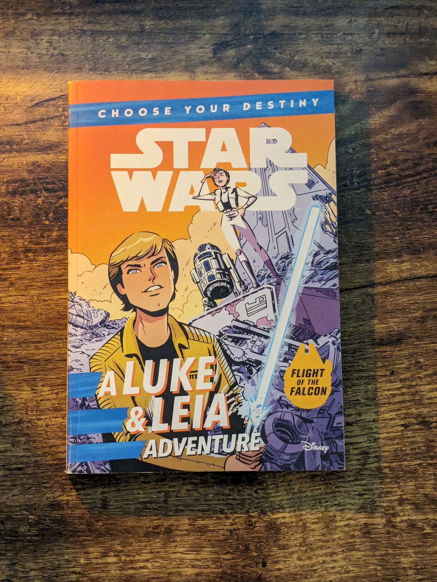 Star Wars: A Luke & Leia Adventure (Choose Your Destiny #2) by Cavan Scott