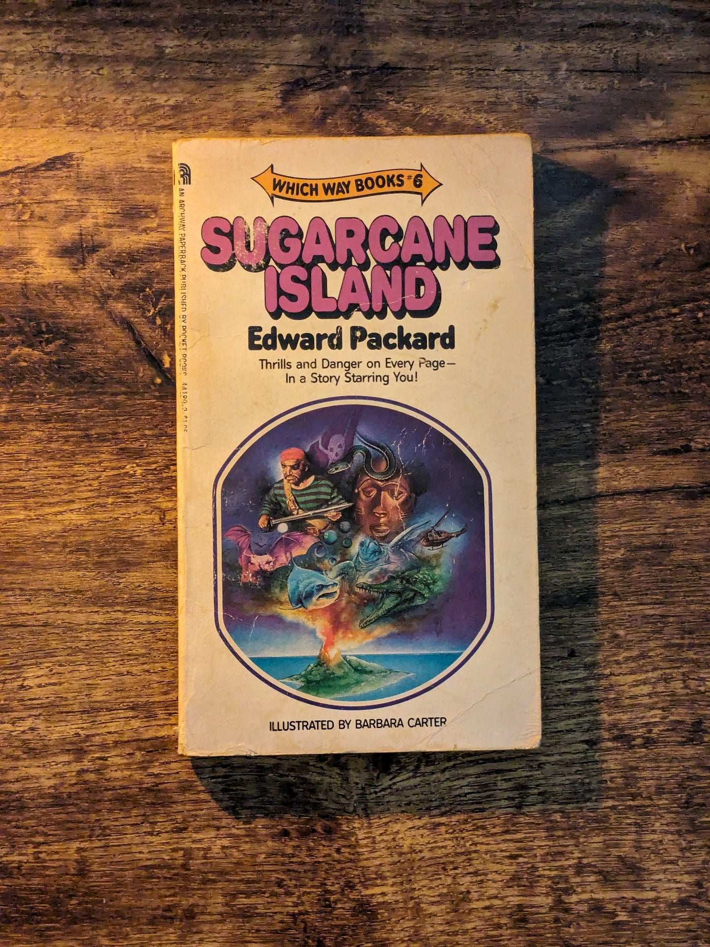 Sugarcane Island (Which Way #6) by Edward Packard - 1978 Rare Vintage Paperback