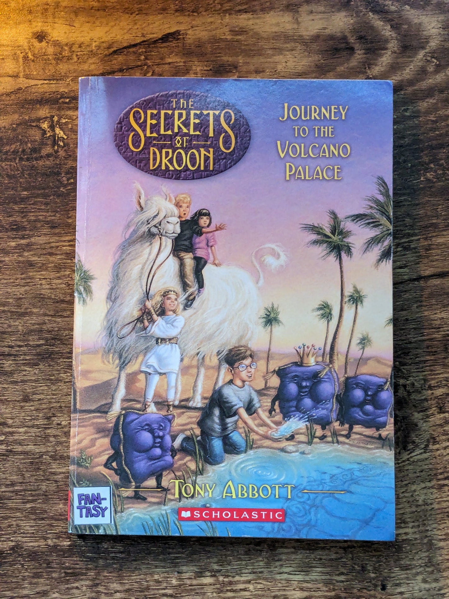 Journey to the Volcano Palace (Secrets of Droon #2) by Tony Abbott