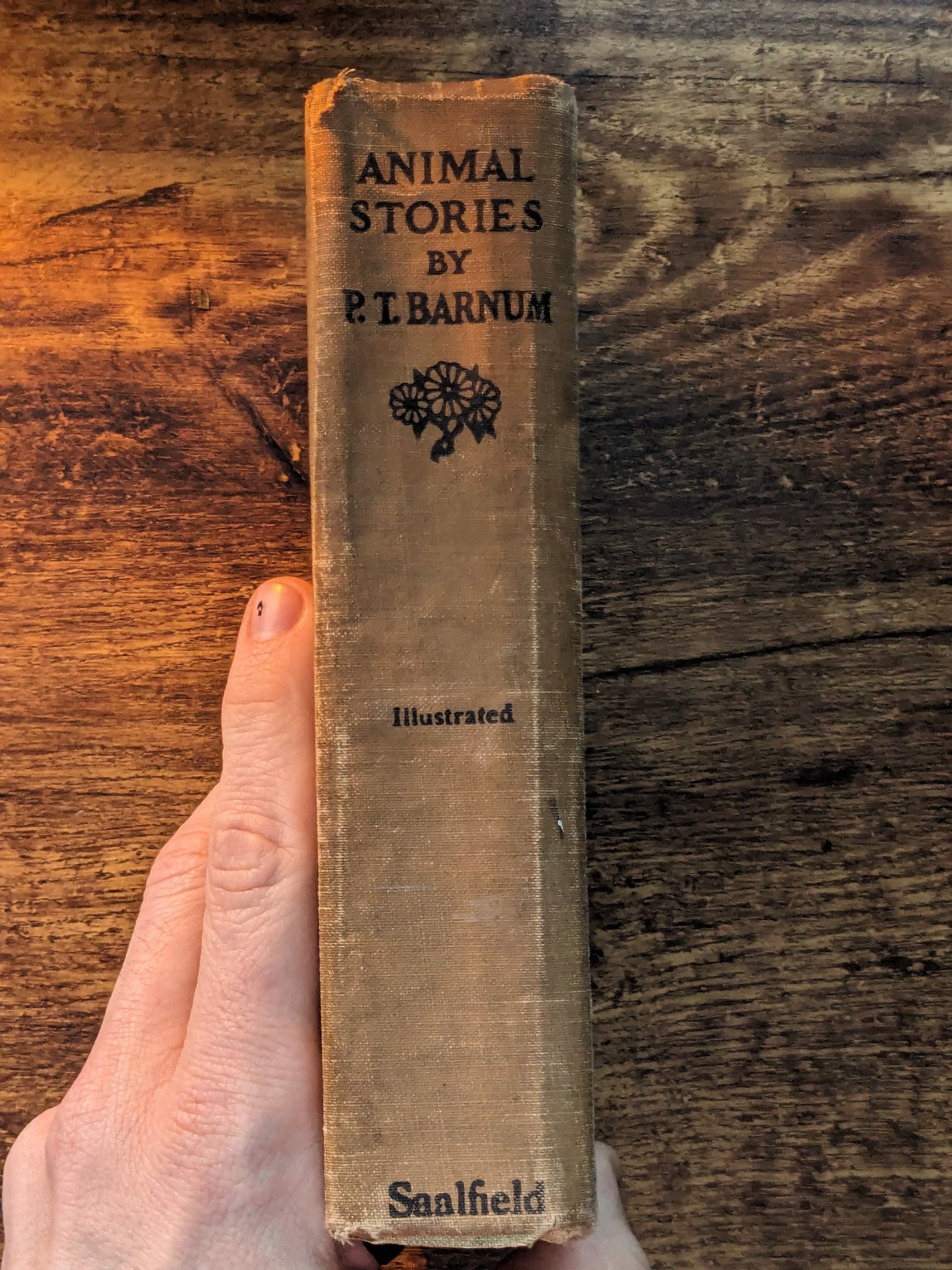 Animal Stories (Rare Vintage Anthology) by P.T. Barnum - Hardcover