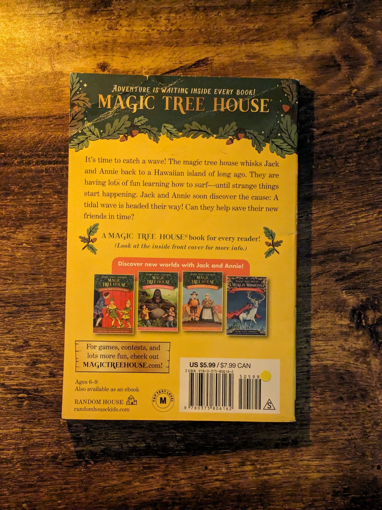 High Tide in Hawaii (Magic Tree House #28) by Mary Pope Osborne - Paperback