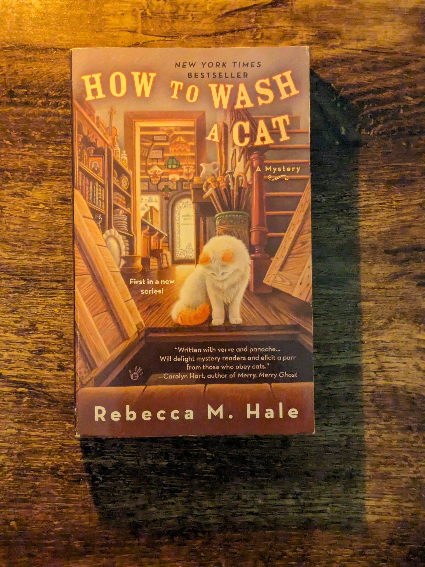 How to Wash a Cat (Paperback) by Rebecca M. Hale