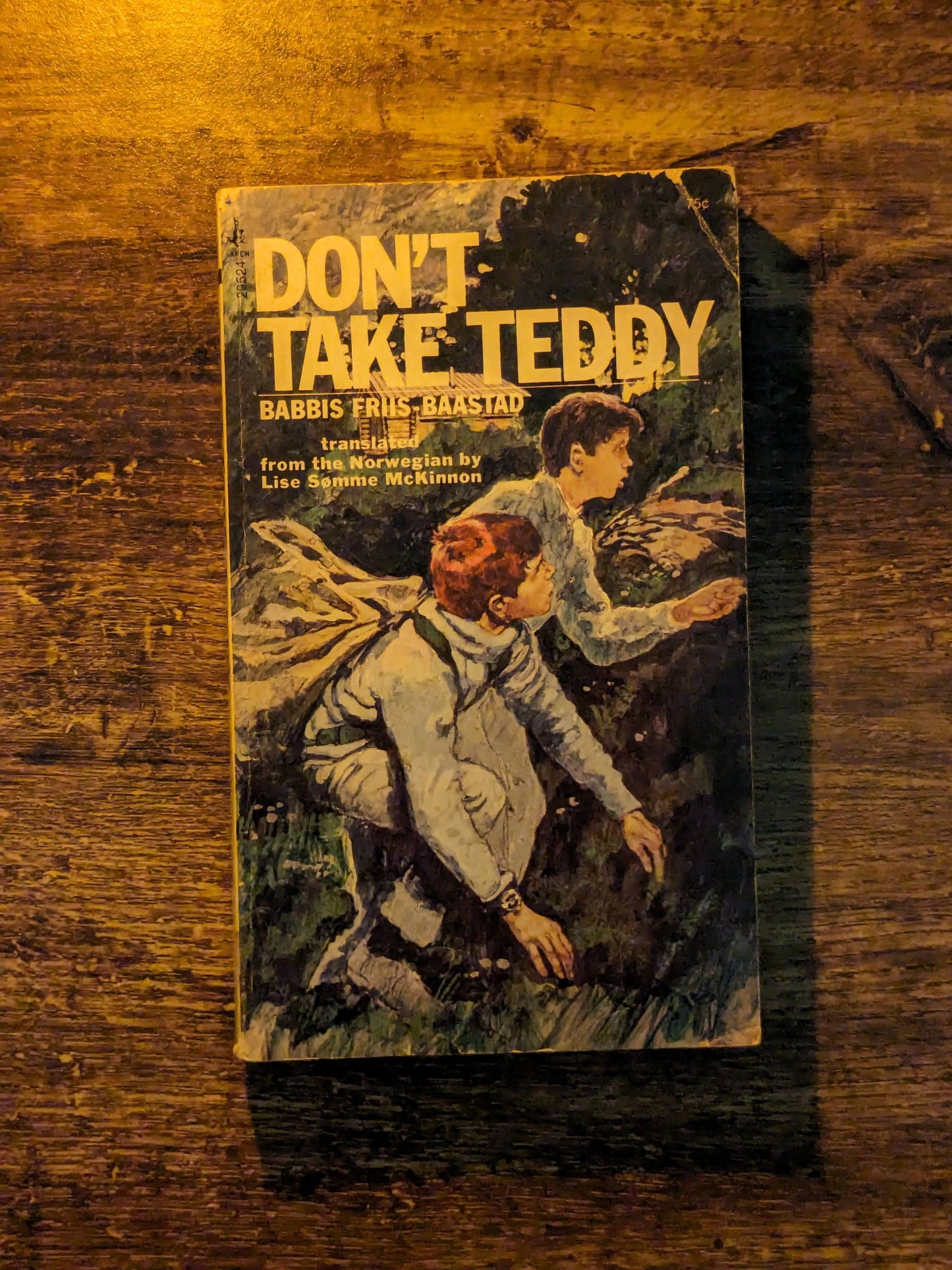 Don't Take Teddy (Rare Vintage Paperback) by Babbis Friis Baastad