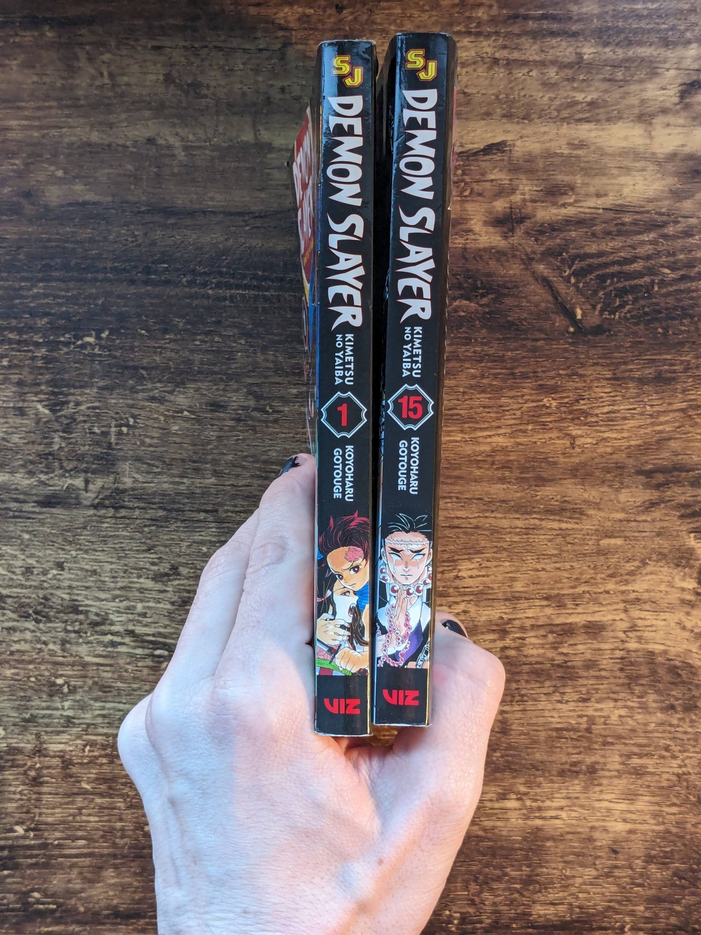 Demon Slayer 2pk - Kimetsu No Yaiba Vol. 1 & 15 Manga Paperbacks