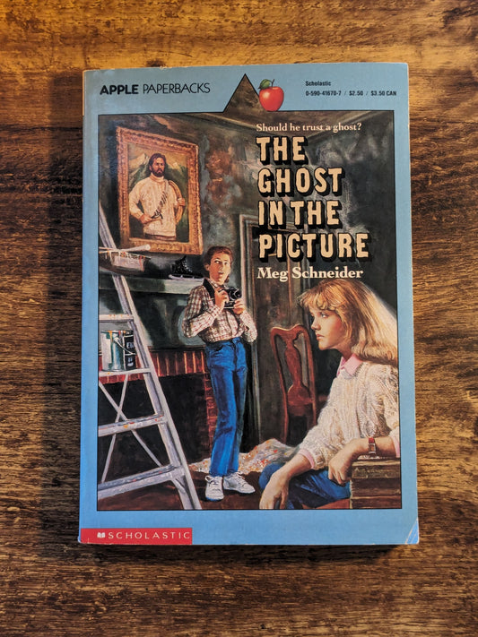 Ghost in the Picture, The (Vintage Paperback) by Meg Schneider