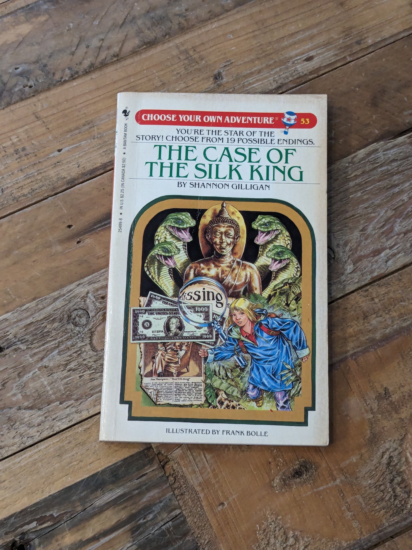 Case of the Silk Ring, The (Choose Your Own Adventure #53) by Shannon Gilligan