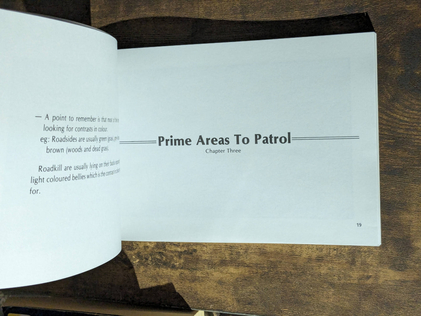 How to Cook Roadkill (Vintage Paperback) by Richard Marcou, Randy Wall (Illustrator)