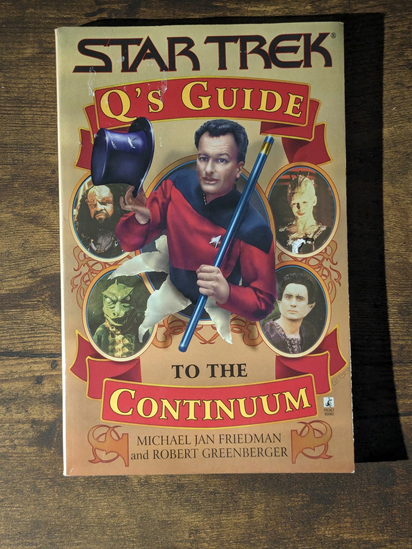 Q's Guide to the Continuum (Paperback) Michael Jan Friedman