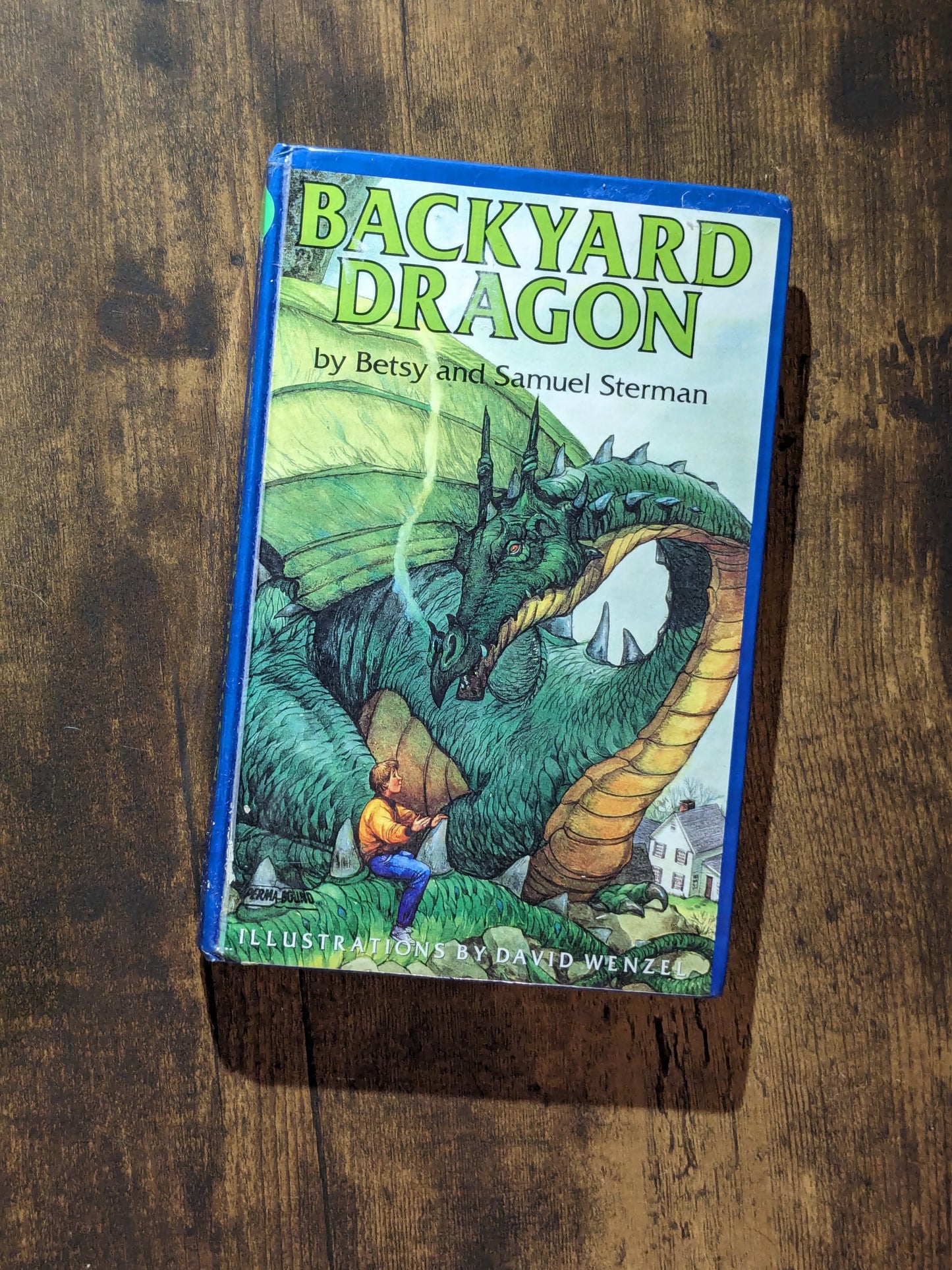 Backyard Dragon (Vintage Hardcover) by Betsy Sterman, Samuel Sterman, David Wenzel  (Illustrator)