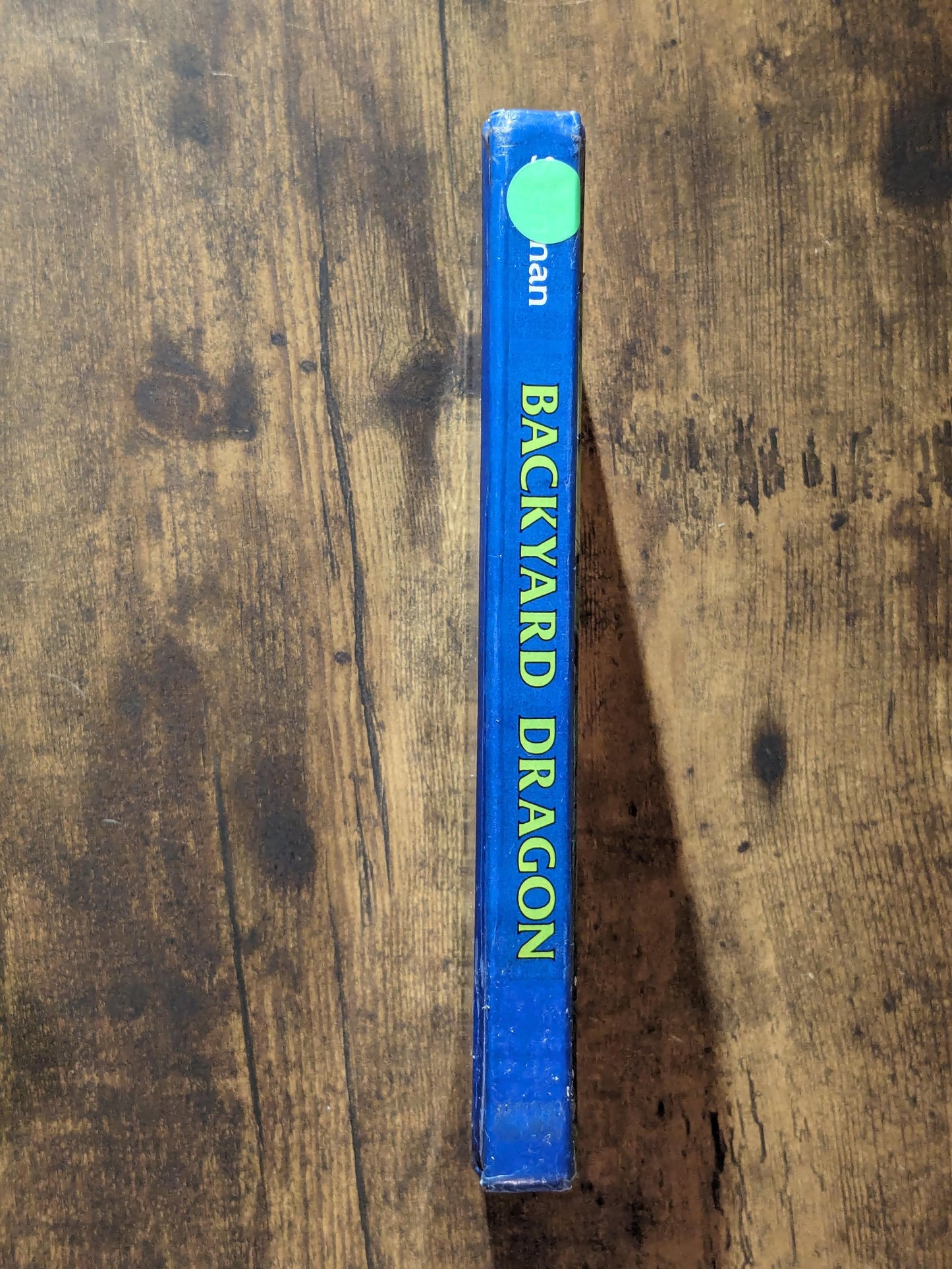 Backyard Dragon (Vintage Hardcover) by Betsy Sterman, Samuel Sterman, David Wenzel  (Illustrator)