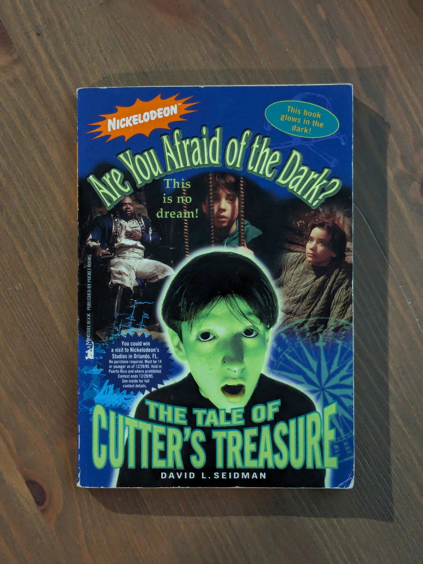 Tale of the Cutter's Treasure, The (Are You Afraid of the Dark? #2) by David Seidman