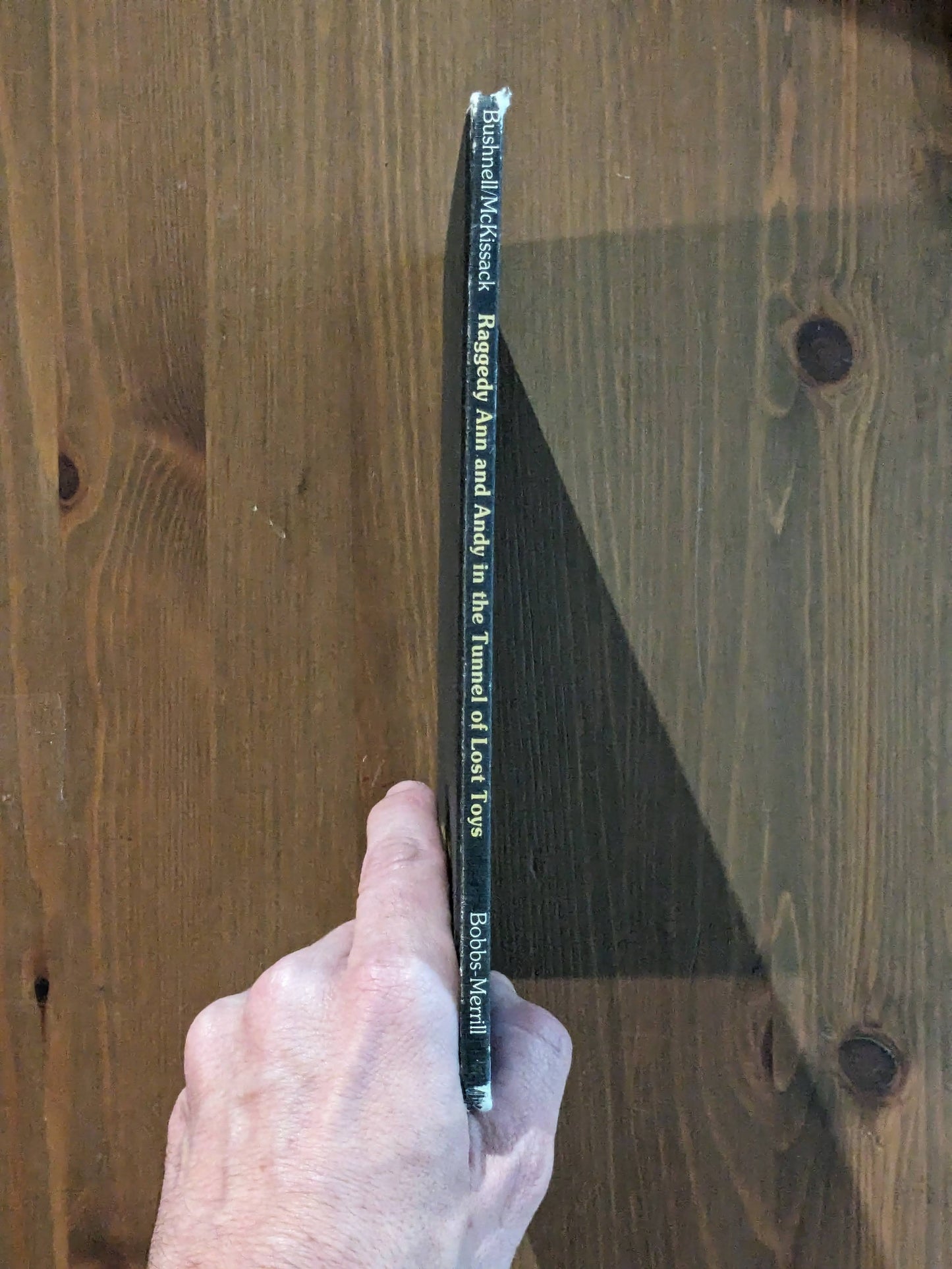 Raggedy Ann & Andy in the Tunnel of Lost Toys (Vintage Hardcover) by Catharine Bushnell, Vernon McKissack Illustrator)