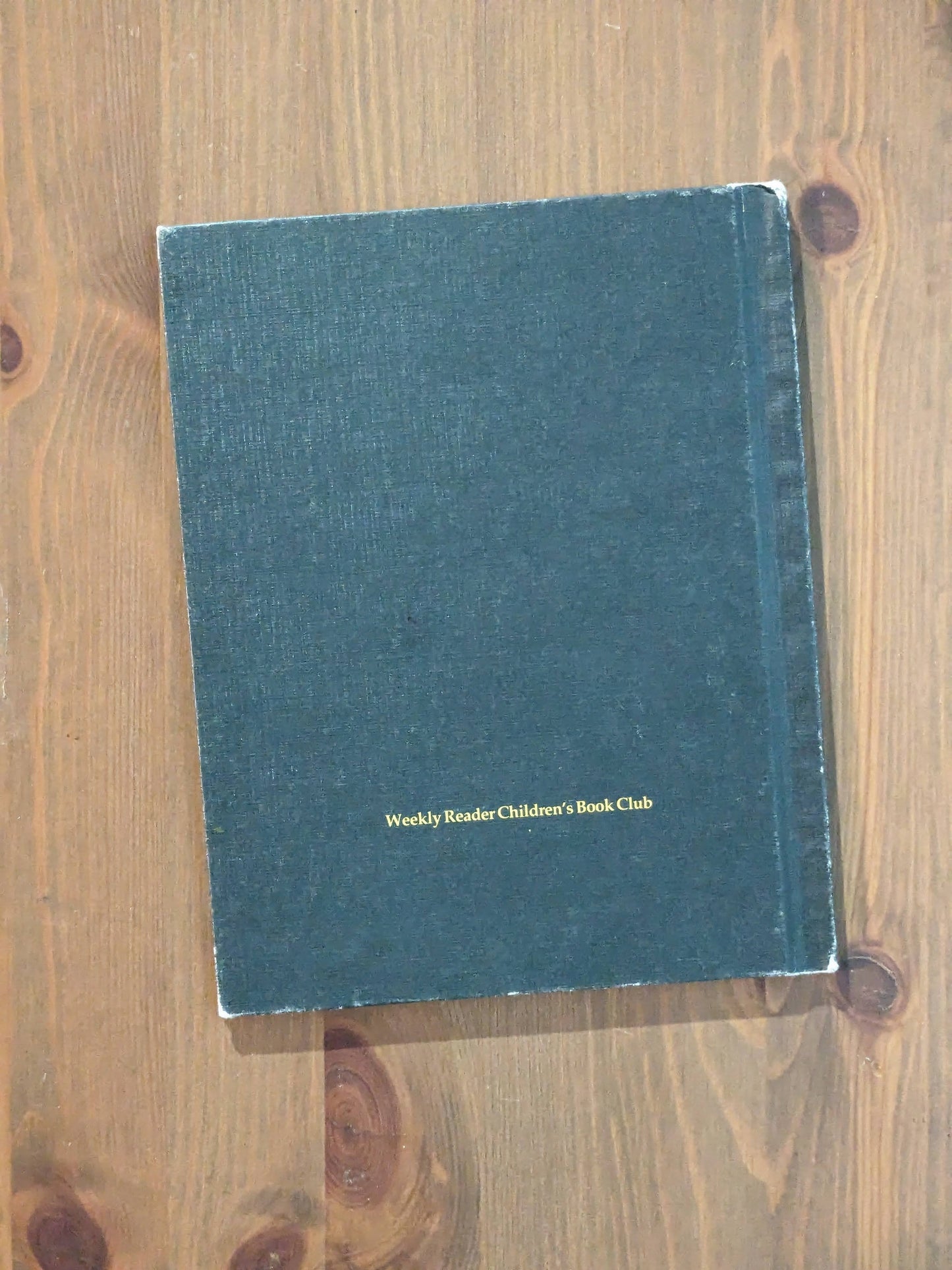 Raggedy Ann & Andy in the Tunnel of Lost Toys (Vintage Hardcover) by Catharine Bushnell, Vernon McKissack Illustrator)