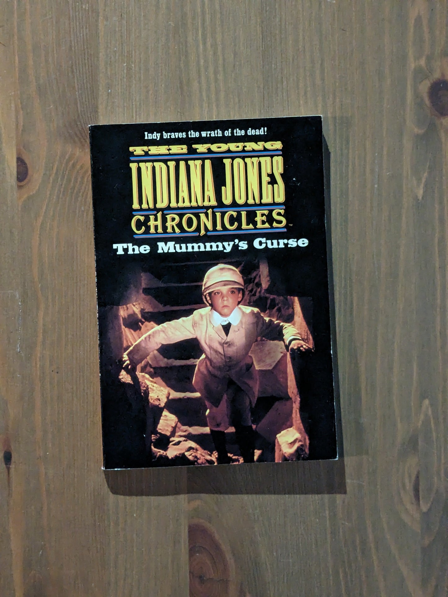 Mummy's Curse, The (Young Indiana Jones Chronicles #10) by Megan Stine