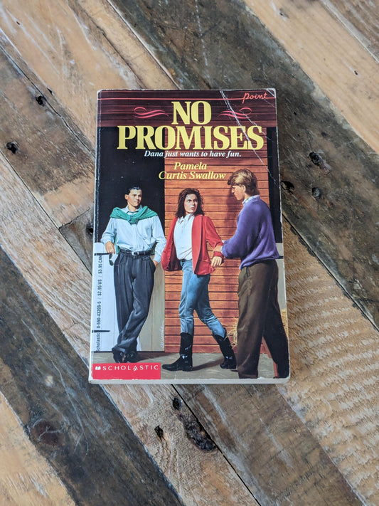No Promises (Vintage Paperback) by Pamela Curtis Swallow