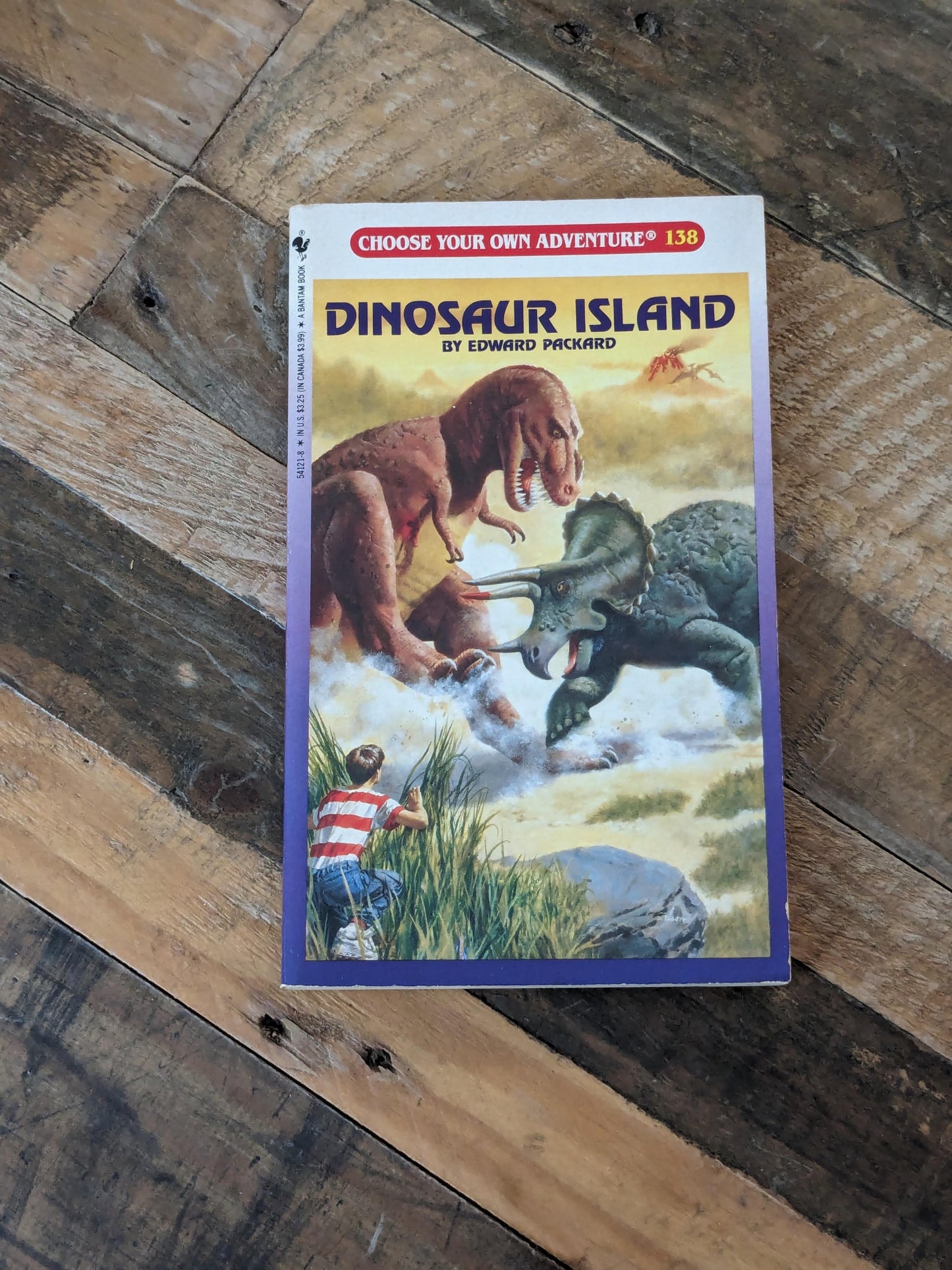 Dinosaur Island (Choose Your Own Adventure #138) by Edward Packard