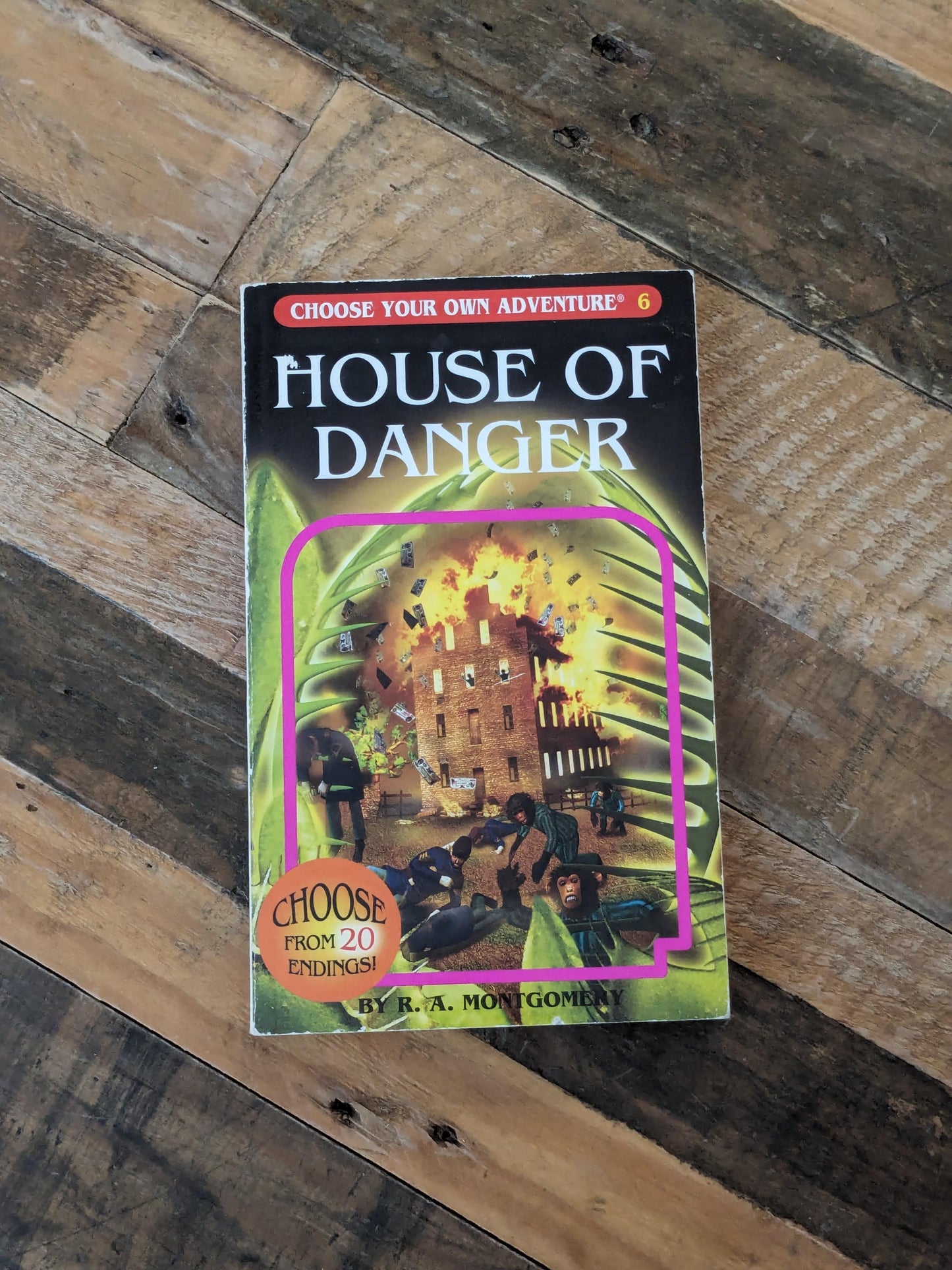 House of Danger (Choose Your Own Adventure #6) by R.A. Montgomery