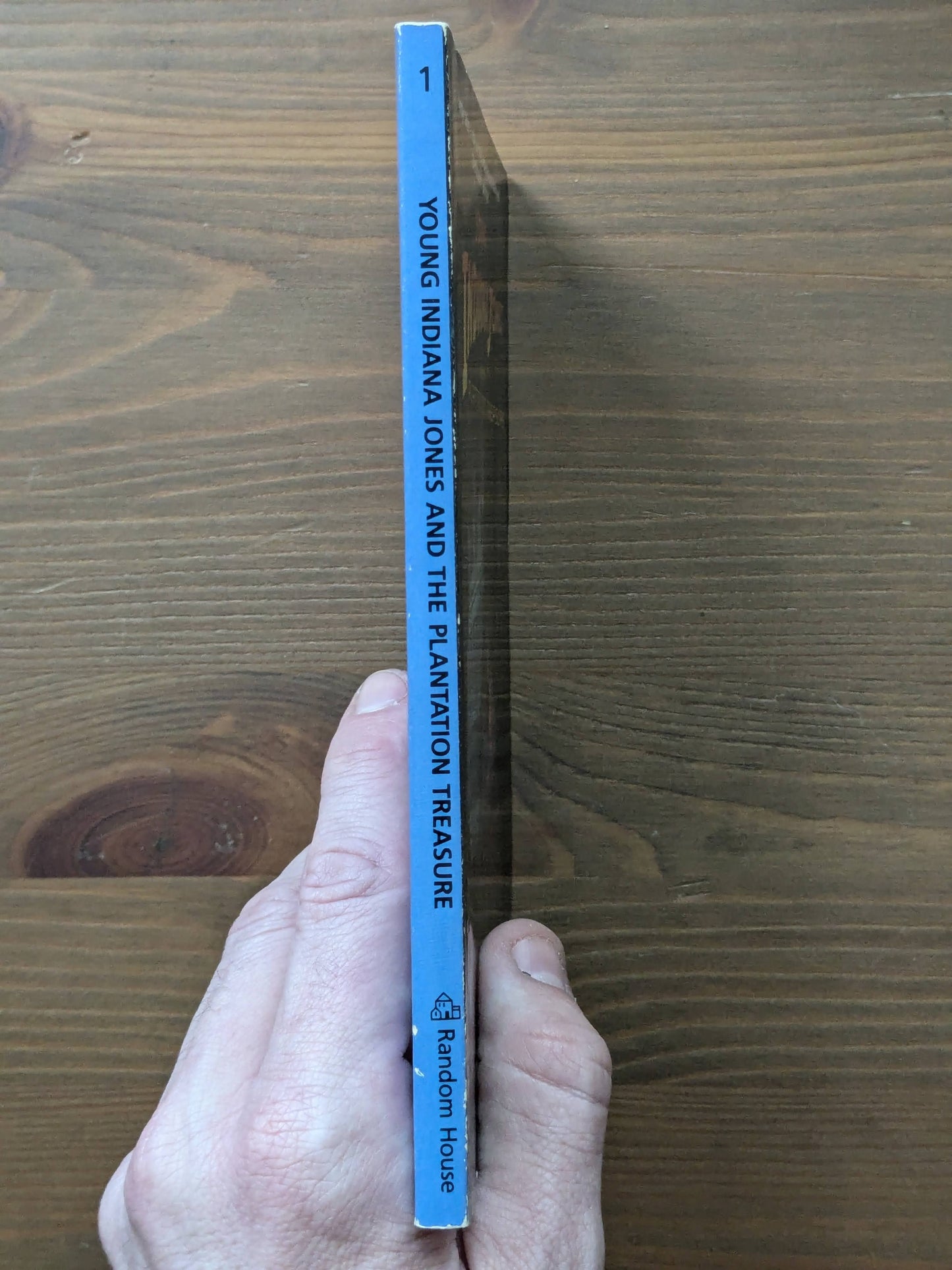 Young Indiana Jones and the Plantation Treasure (Vintage Paperback) by William McCay