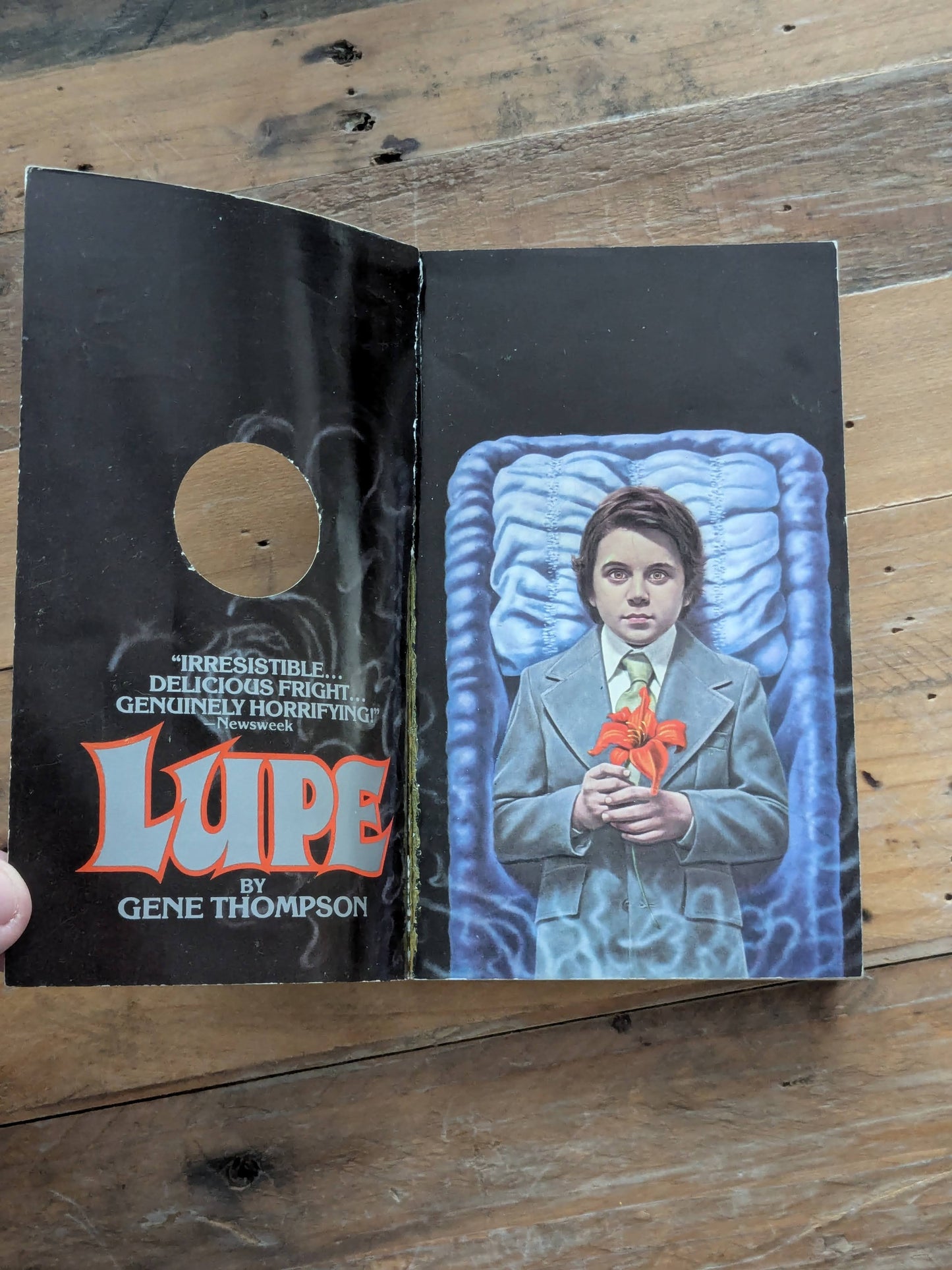 LUPE (Vintage Paperback) by Gene Thompson