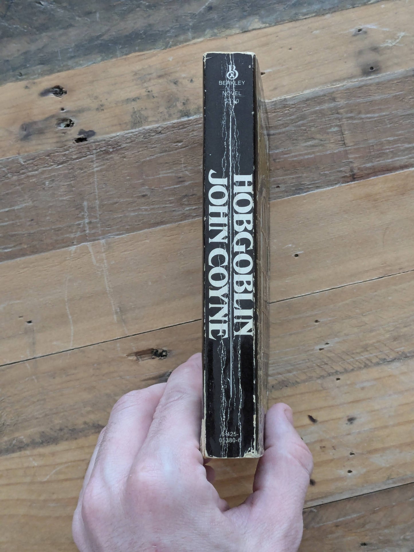 Hobgoblin (Vintage Paperback) by John Coyne