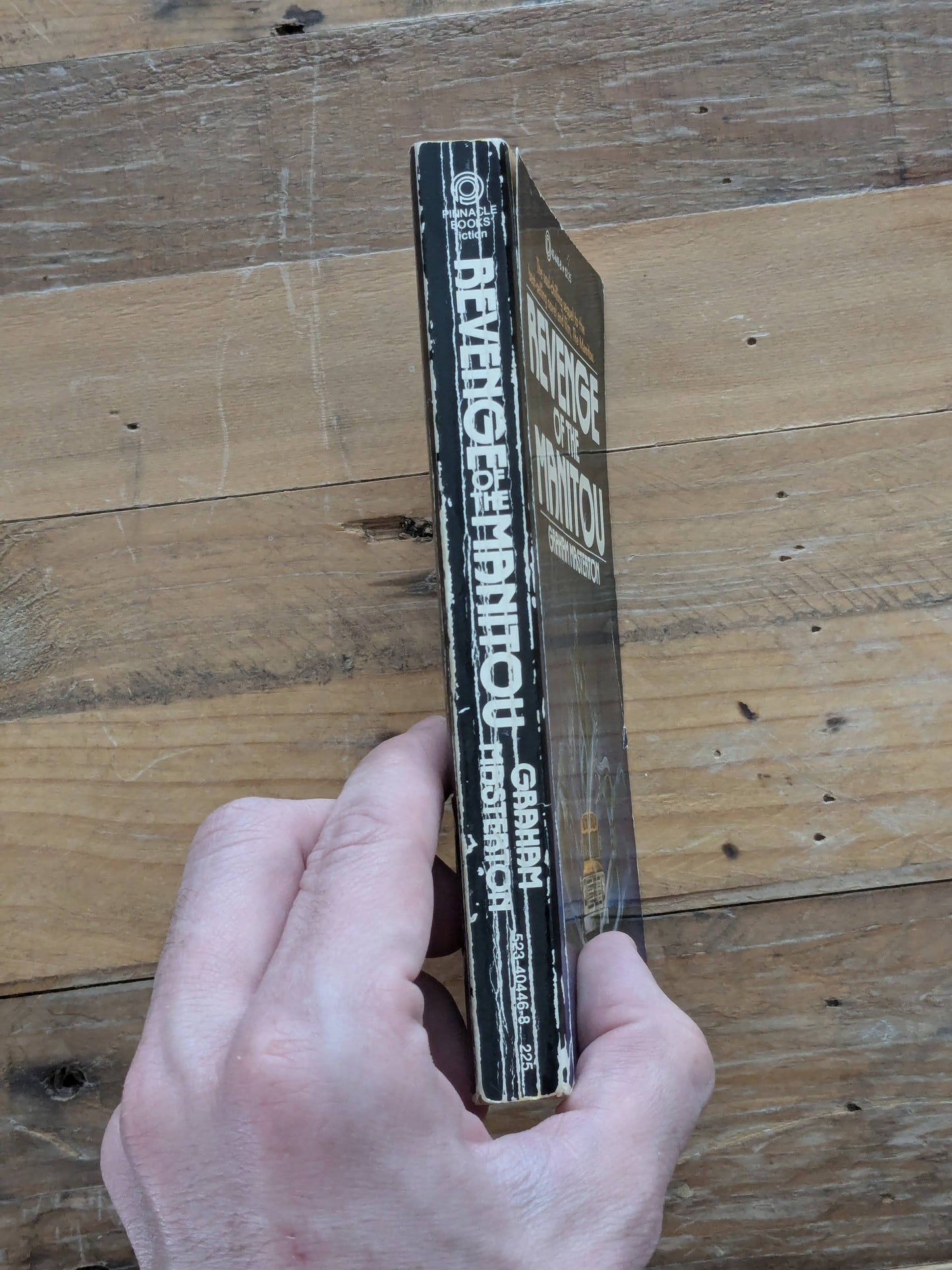 Revenge of the Manitou (Rare Vintage Paperback) by Graham Masterton